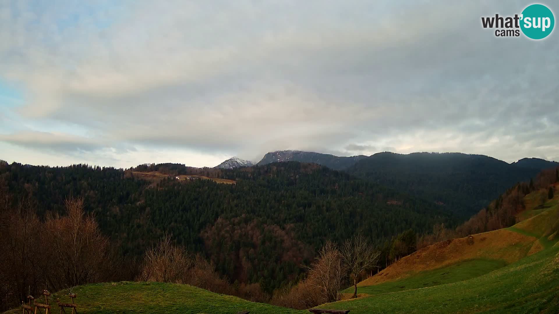 Webcam Brunarica Dražgoše – Live View of Ratitovec (1666 m)