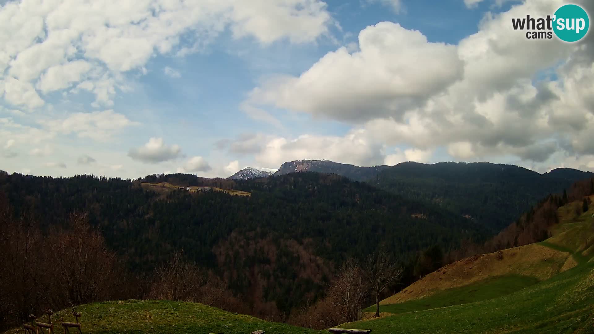 Webcam Brunarica Dražgoše – Live View of Ratitovec (1666 m)