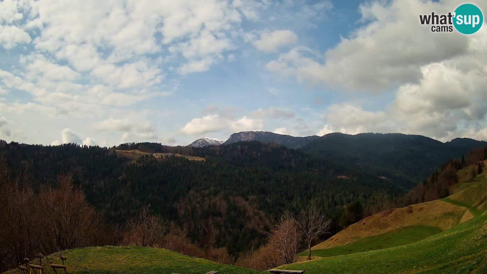 Webcam Brunarica Dražgoše – Live View of Ratitovec (1666 m)