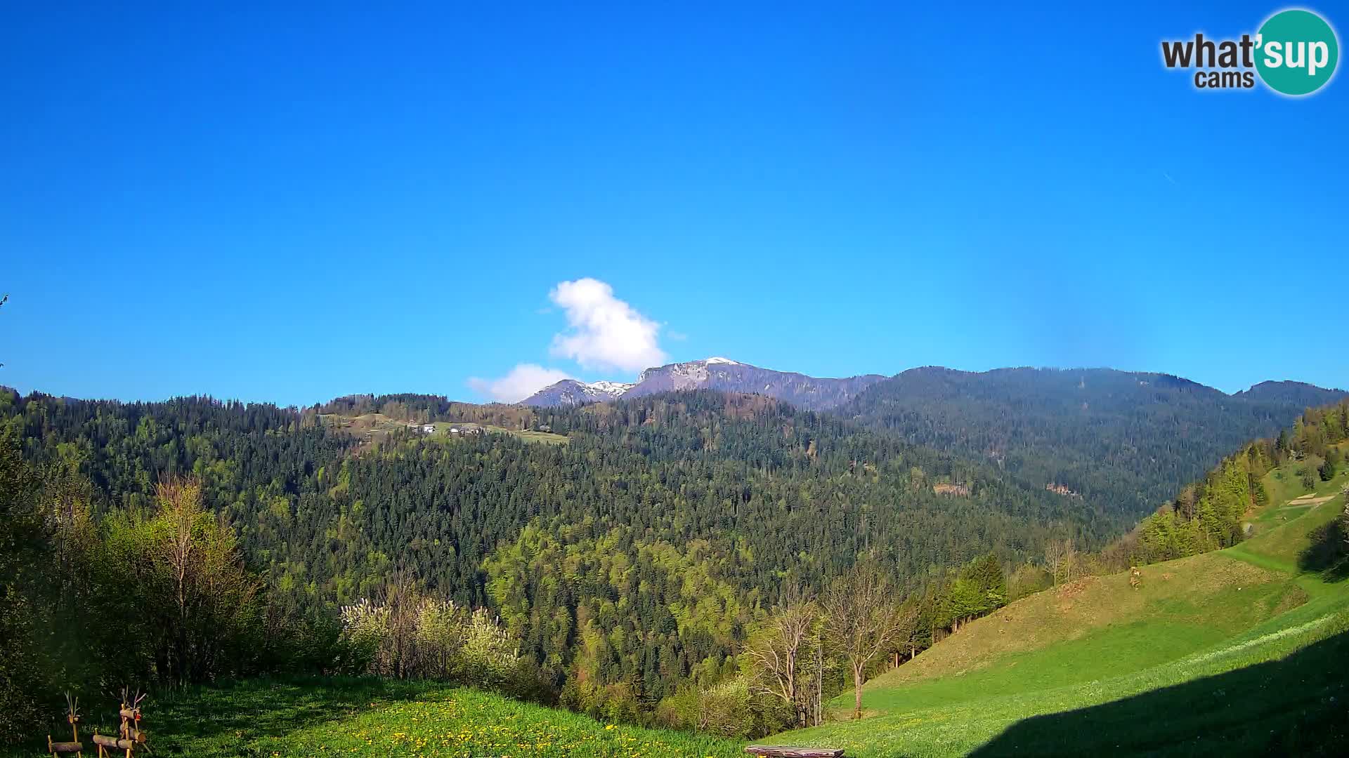 Webcam Brunarica Dražgoše – Live View of Ratitovec (1666 m)