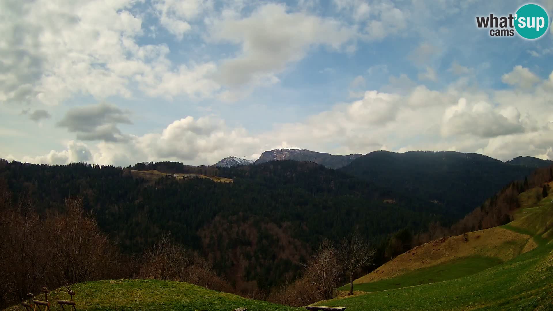 Webcam Brunarica Dražgoše – Live View of Ratitovec (1666 m)