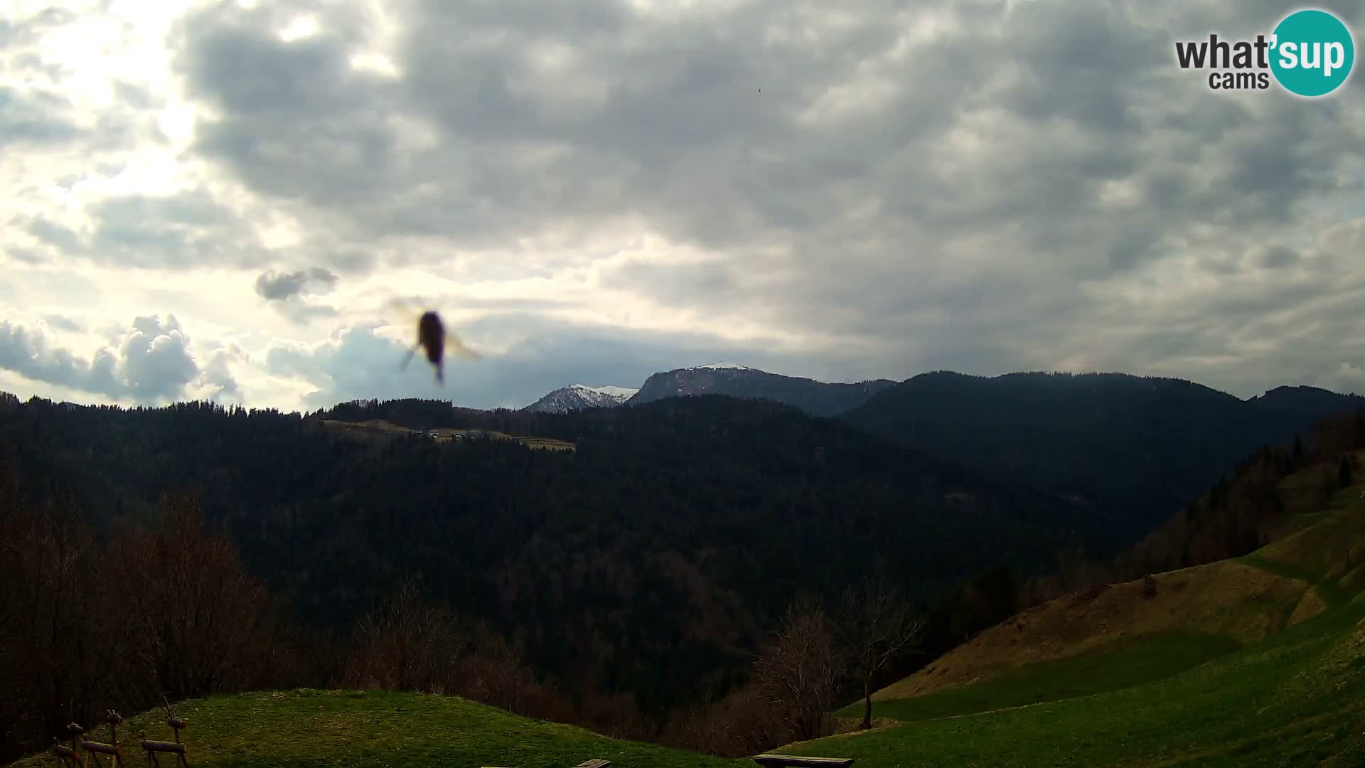 Webcam Brunarica Dražgoše – Live View of Ratitovec (1666 m)