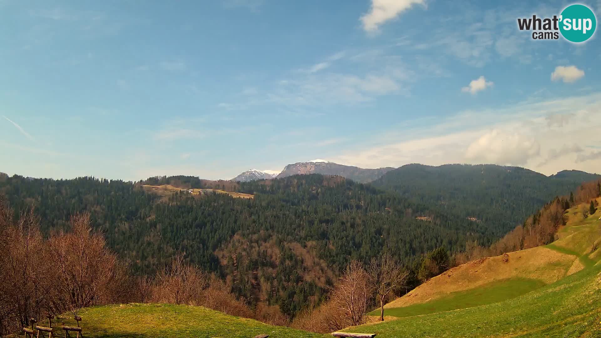 Webcam Brunarica Dražgoše – Live View of Ratitovec (1666 m)