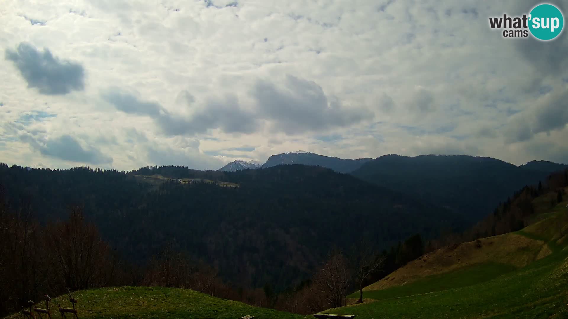 Webcam Brunarica Dražgoše – Live View of Ratitovec (1666 m)