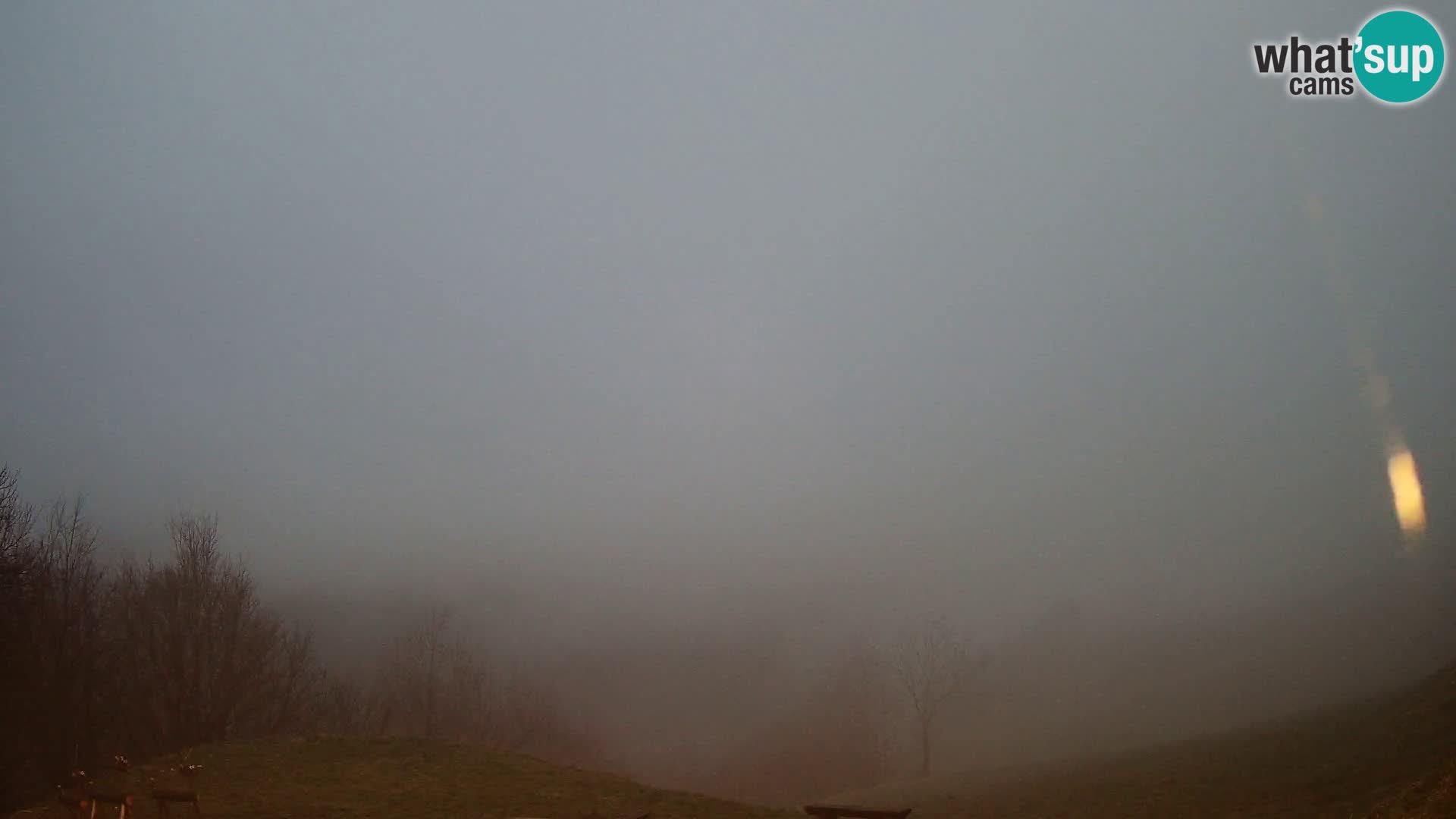 Webcam Brunarica Dražgoše – Live View of Ratitovec (1666 m)