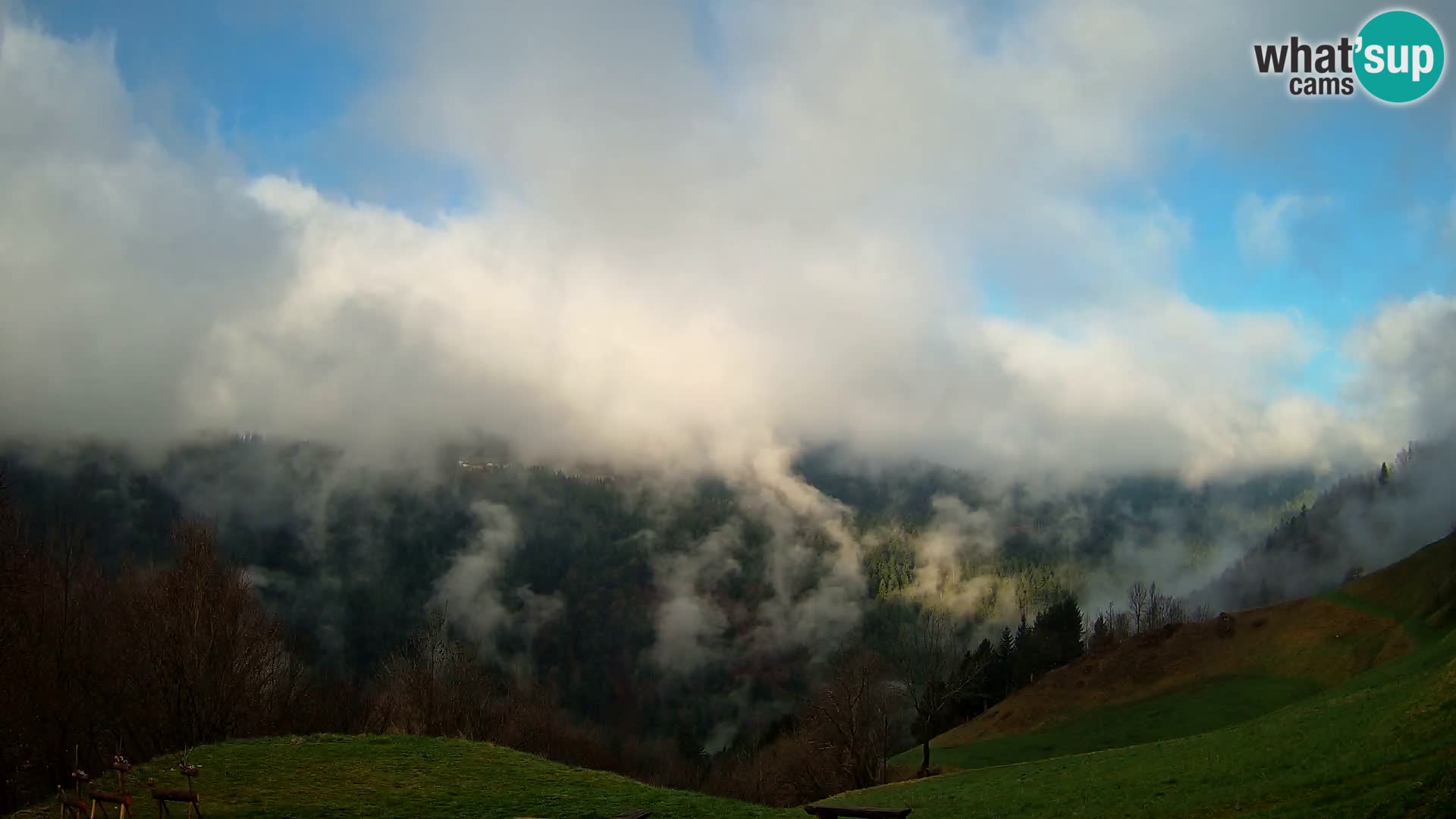 Webcam Brunarica Dražgoše – Live View of Ratitovec (1666 m)