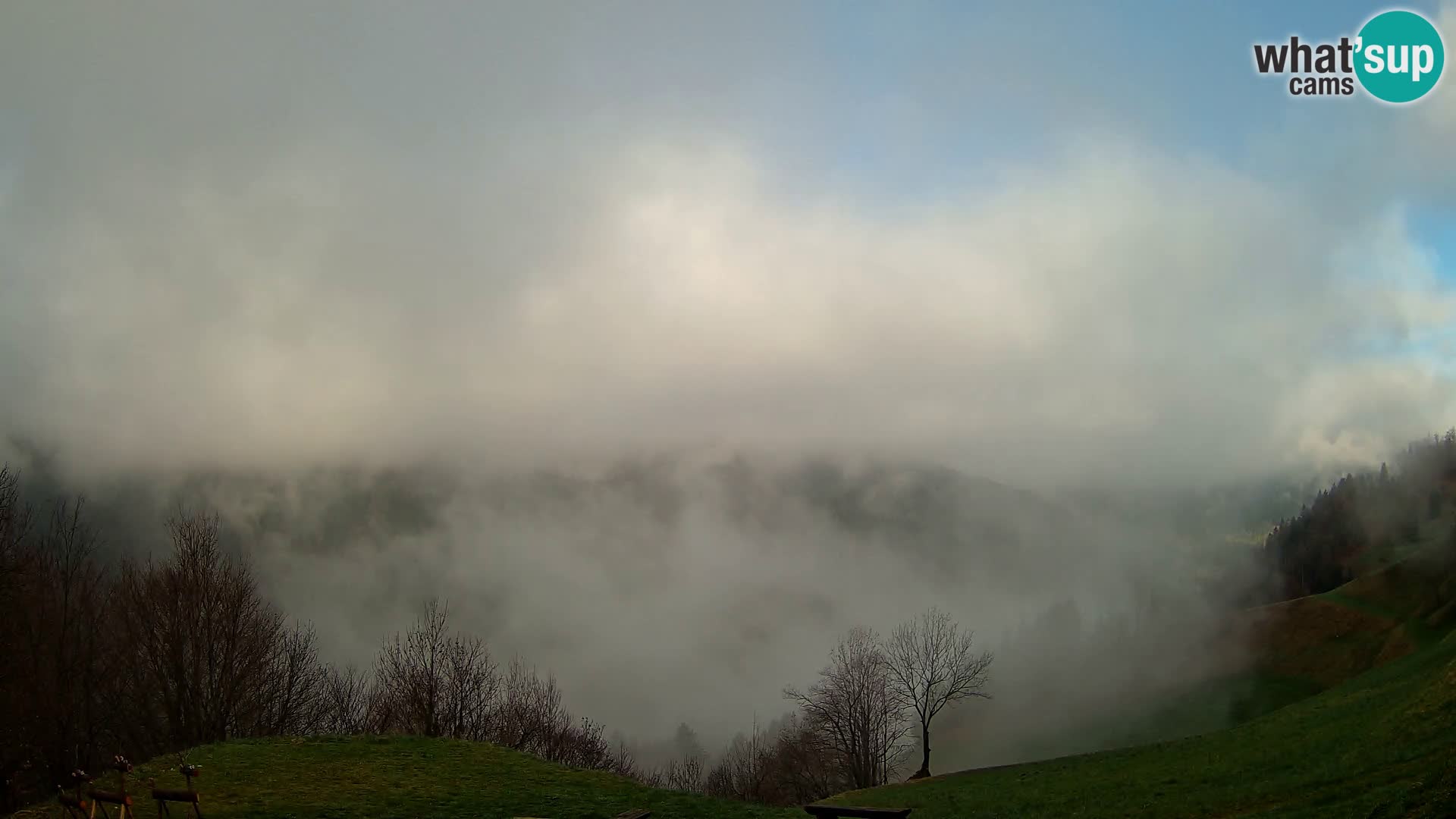 Webcam Brunarica Dražgoše – Live View of Ratitovec (1666 m)