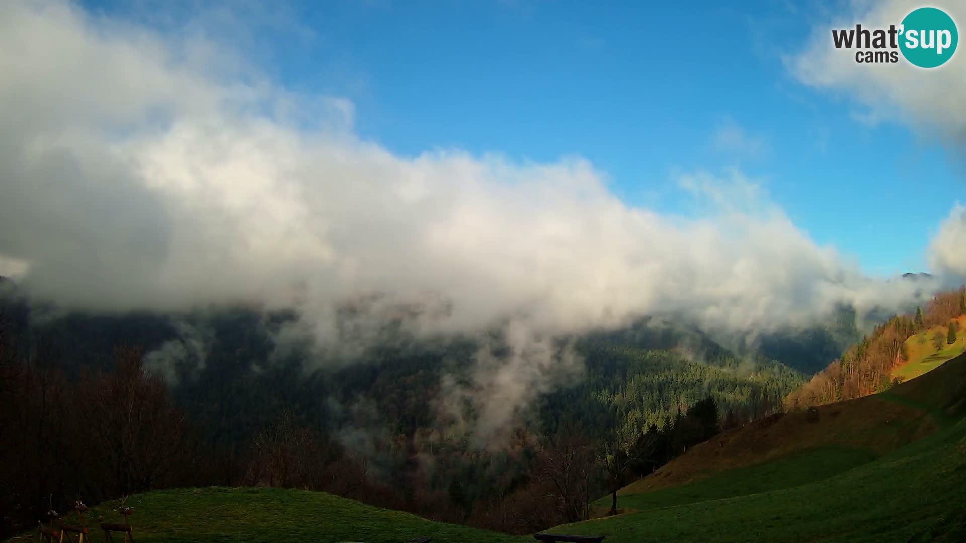 Webcam Brunarica Dražgoše – Live View of Ratitovec (1666 m)