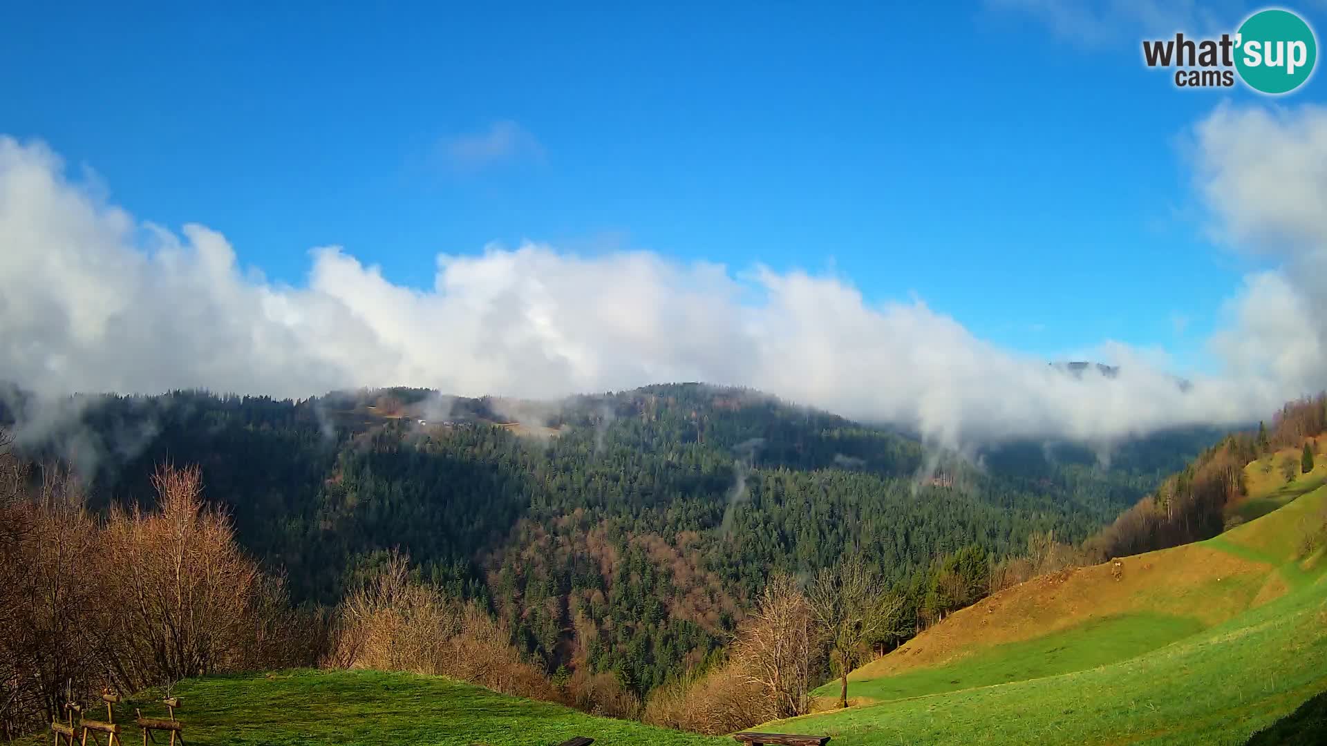 Webcam Brunarica Dražgoše – Live View of Ratitovec (1666 m)