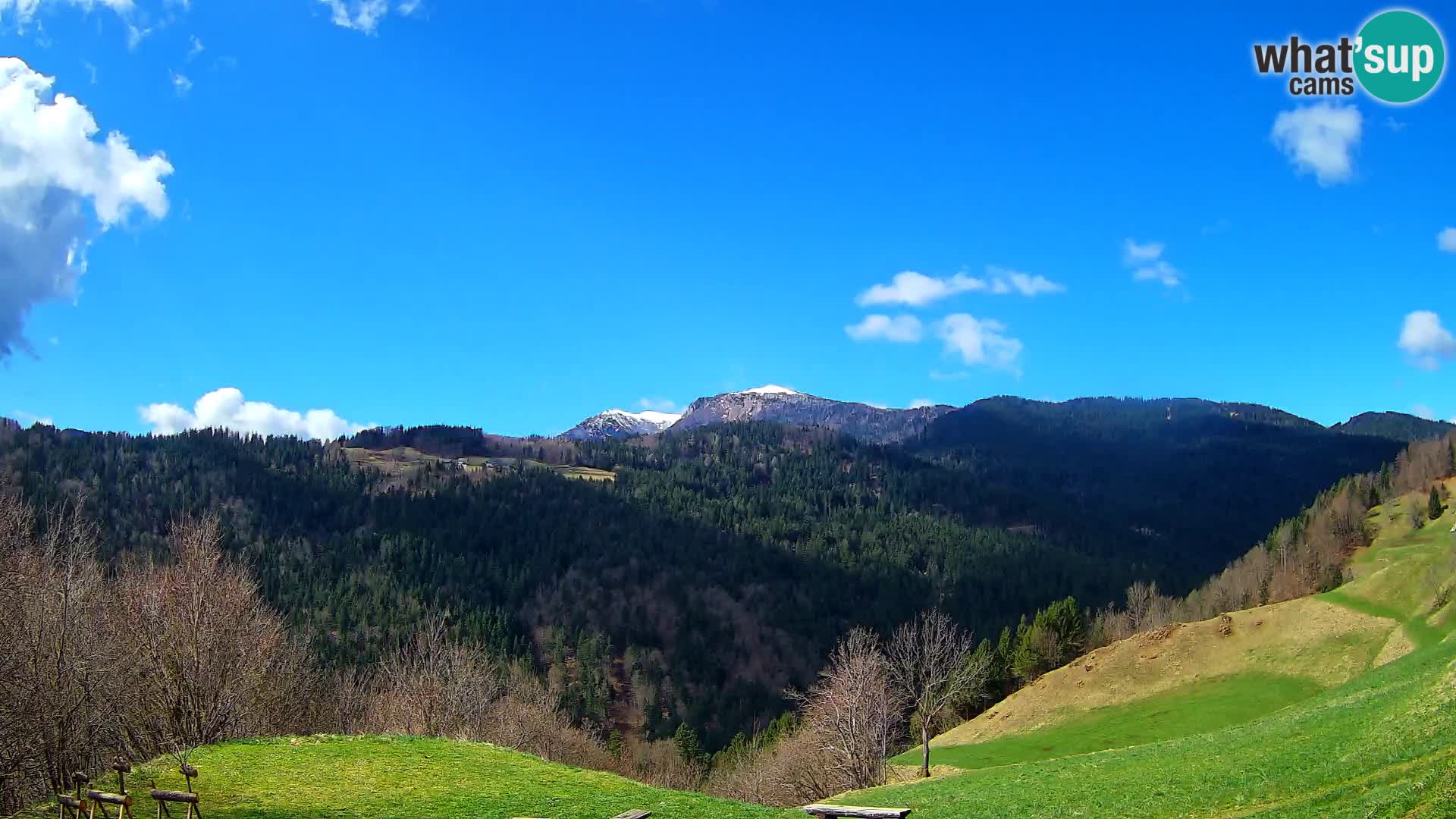 Webcam Brunarica Dražgoše – Live View of Ratitovec (1666 m)