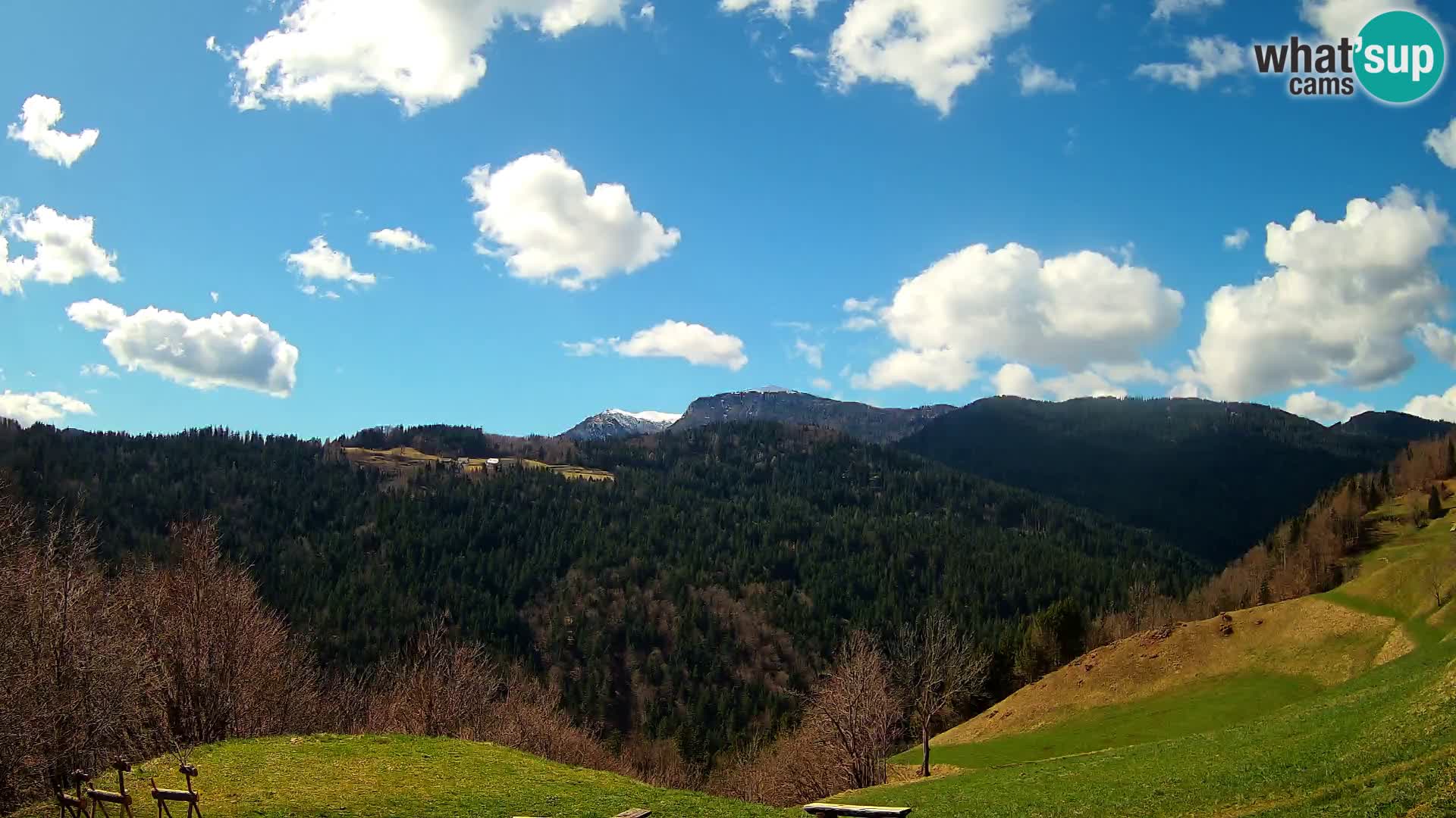 Webcam Brunarica Dražgoše – Live View of Ratitovec (1666 m)