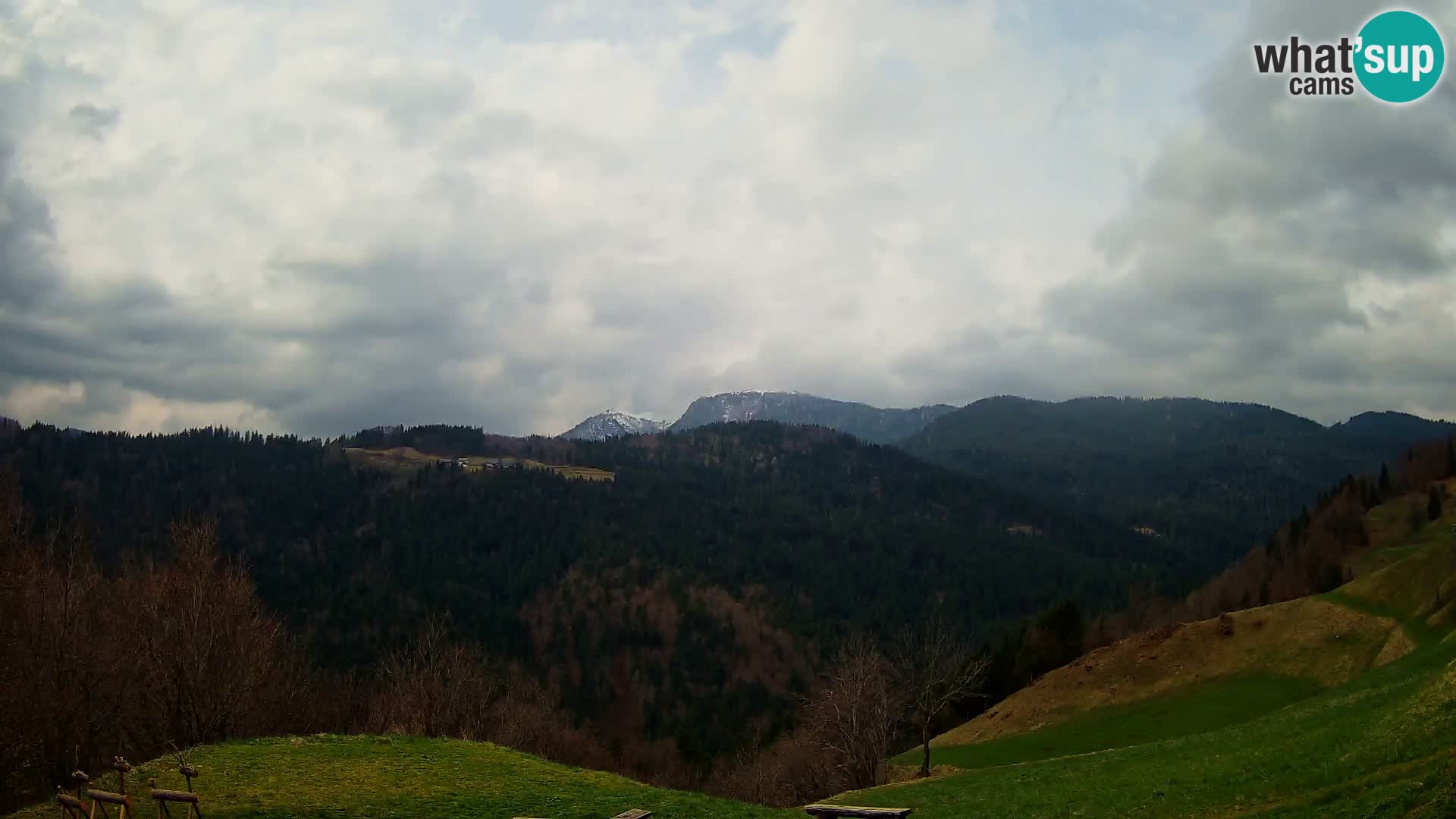 Webcam Brunarica Dražgoše – Live View of Ratitovec (1666 m)