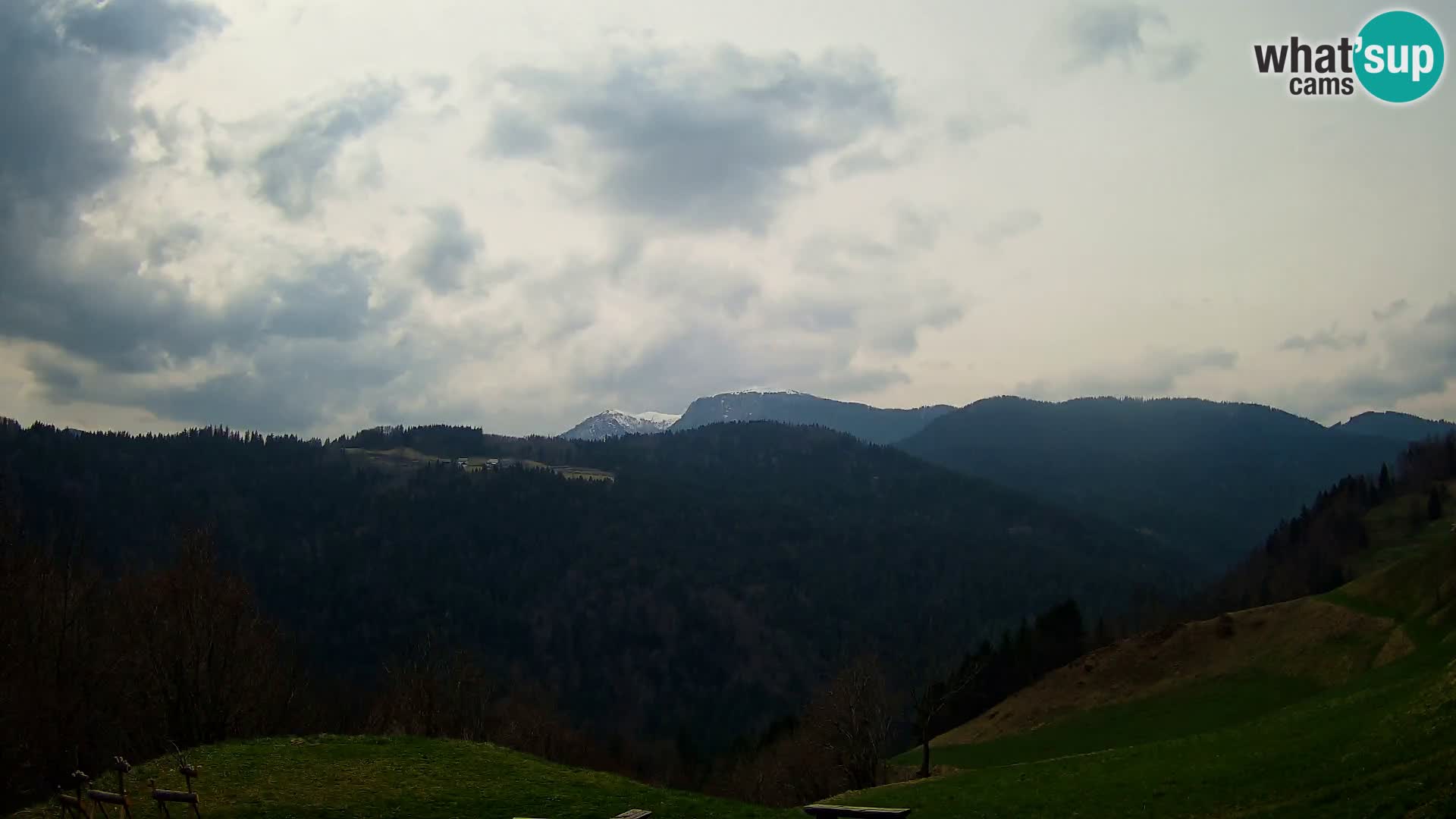 Webcam Brunarica Dražgoše – Live View of Ratitovec (1666 m)