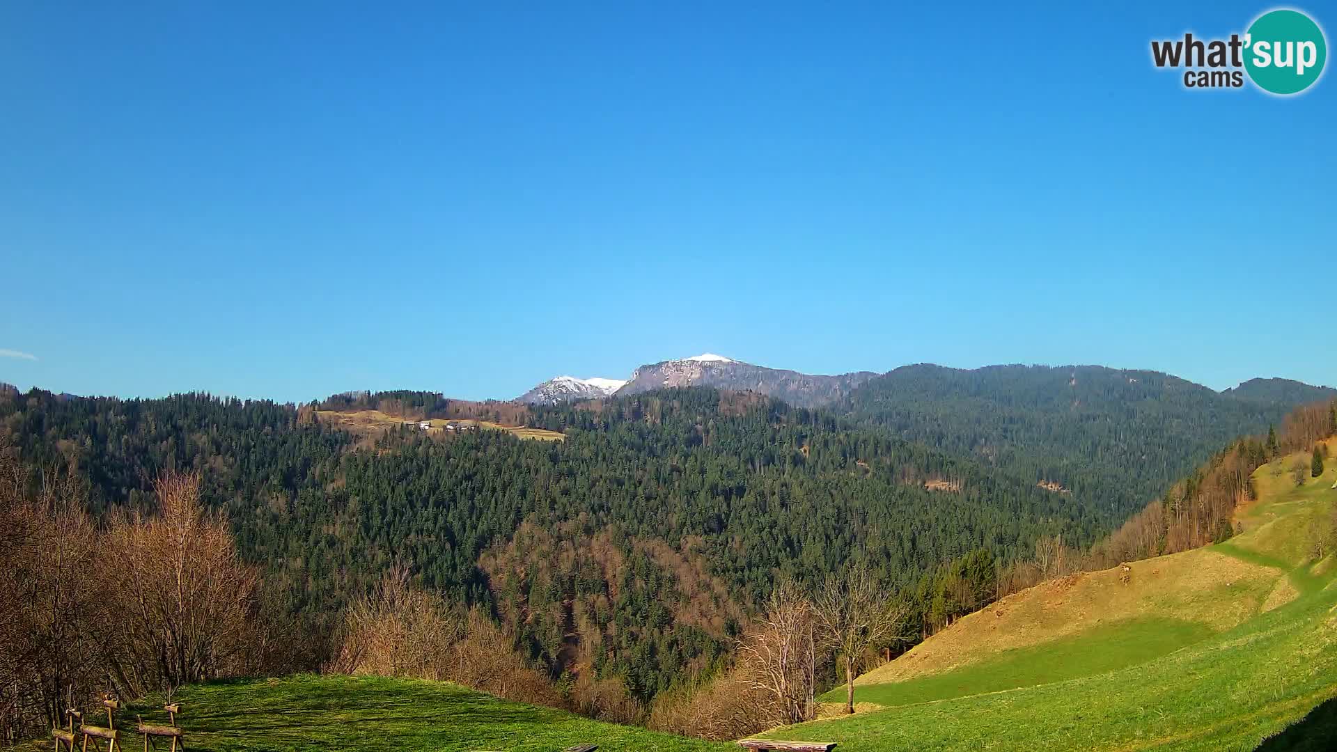 Webcam Brunarica Dražgoše – Live View of Ratitovec (1666 m)