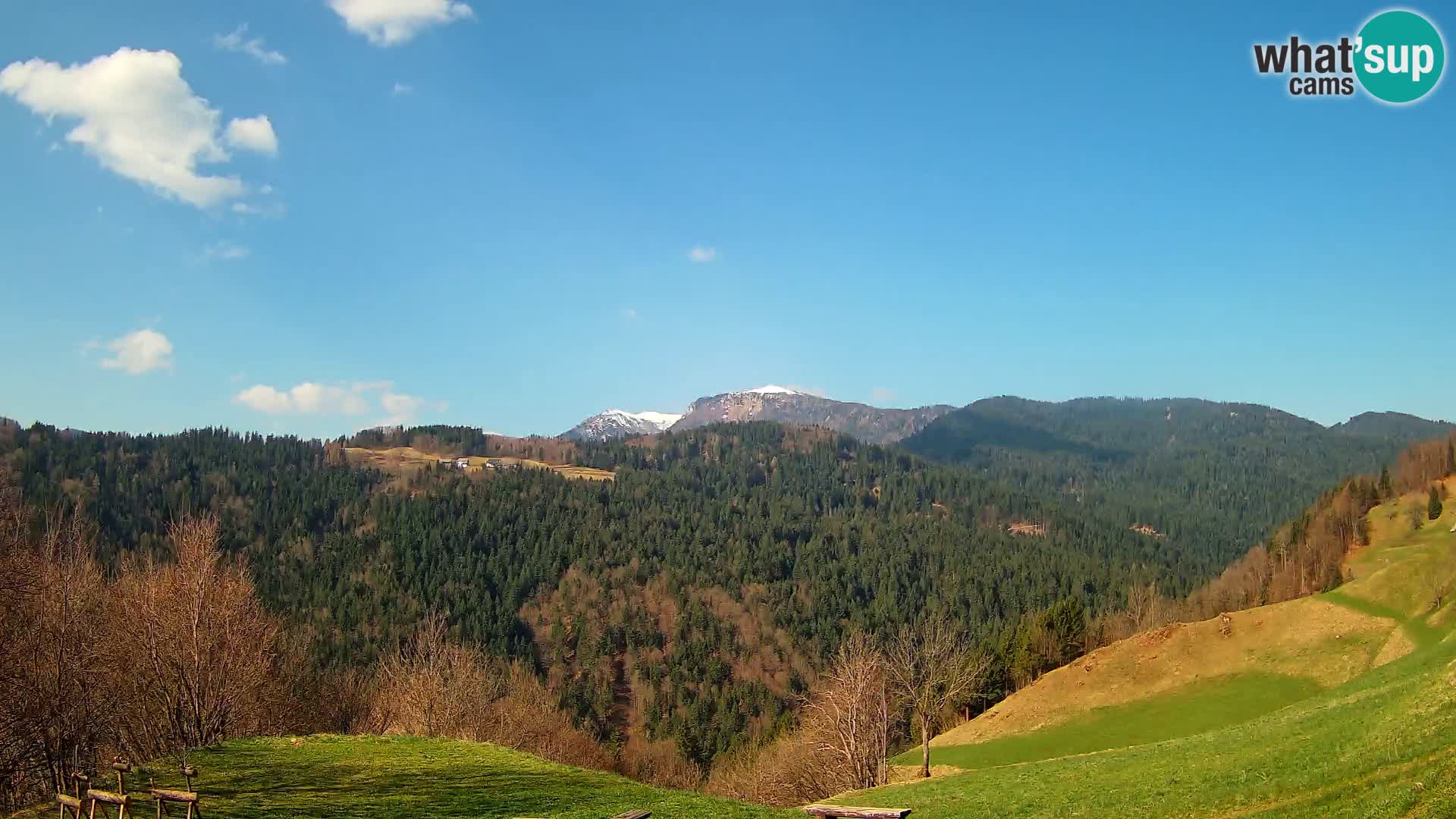 Webcam Brunarica Dražgoše – Live View of Ratitovec (1666 m)