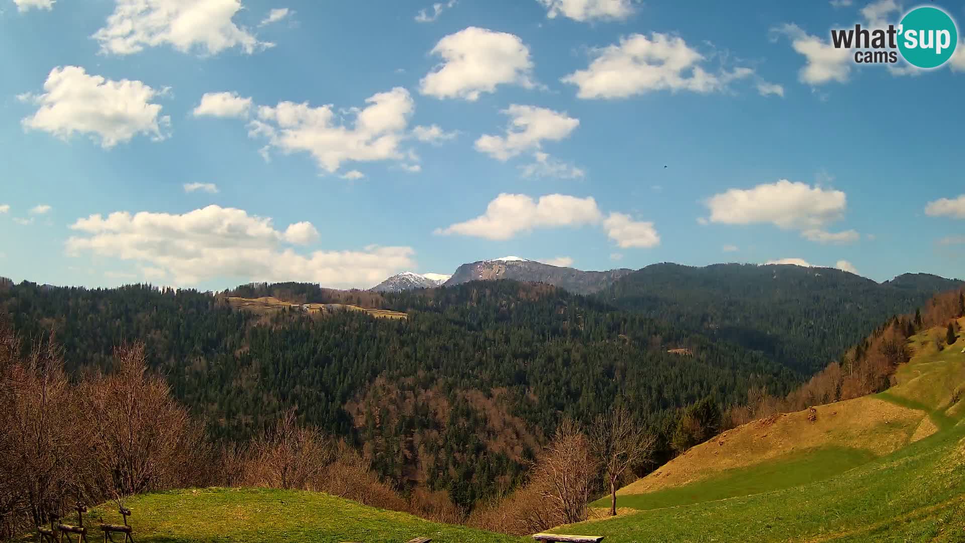 Web kamera Brunarica Dražgoše – Pogled uživo na Ratitovec (1666 m)