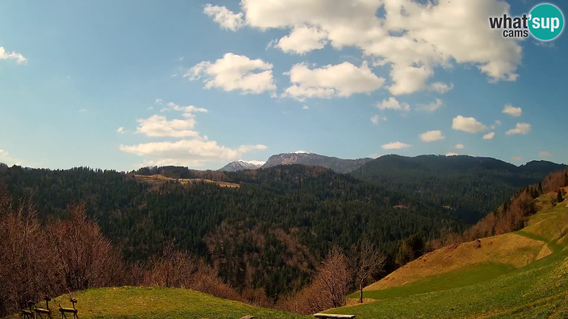 Web kamera Brunarica Dražgoše – Pogled uživo na Ratitovec (1666 m)