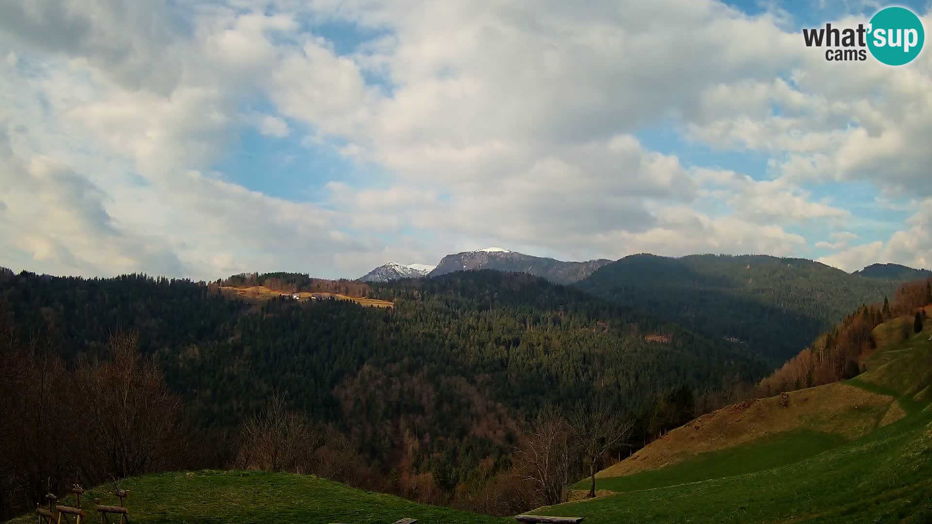 Webcam Brunarica Dražgoše – Live View of Ratitovec (1666 m)