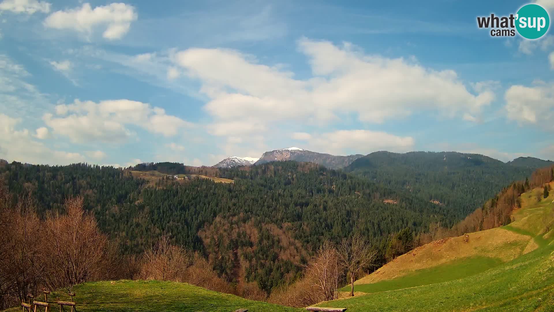 Webcam Brunarica Dražgoše – Live View of Ratitovec (1666 m)