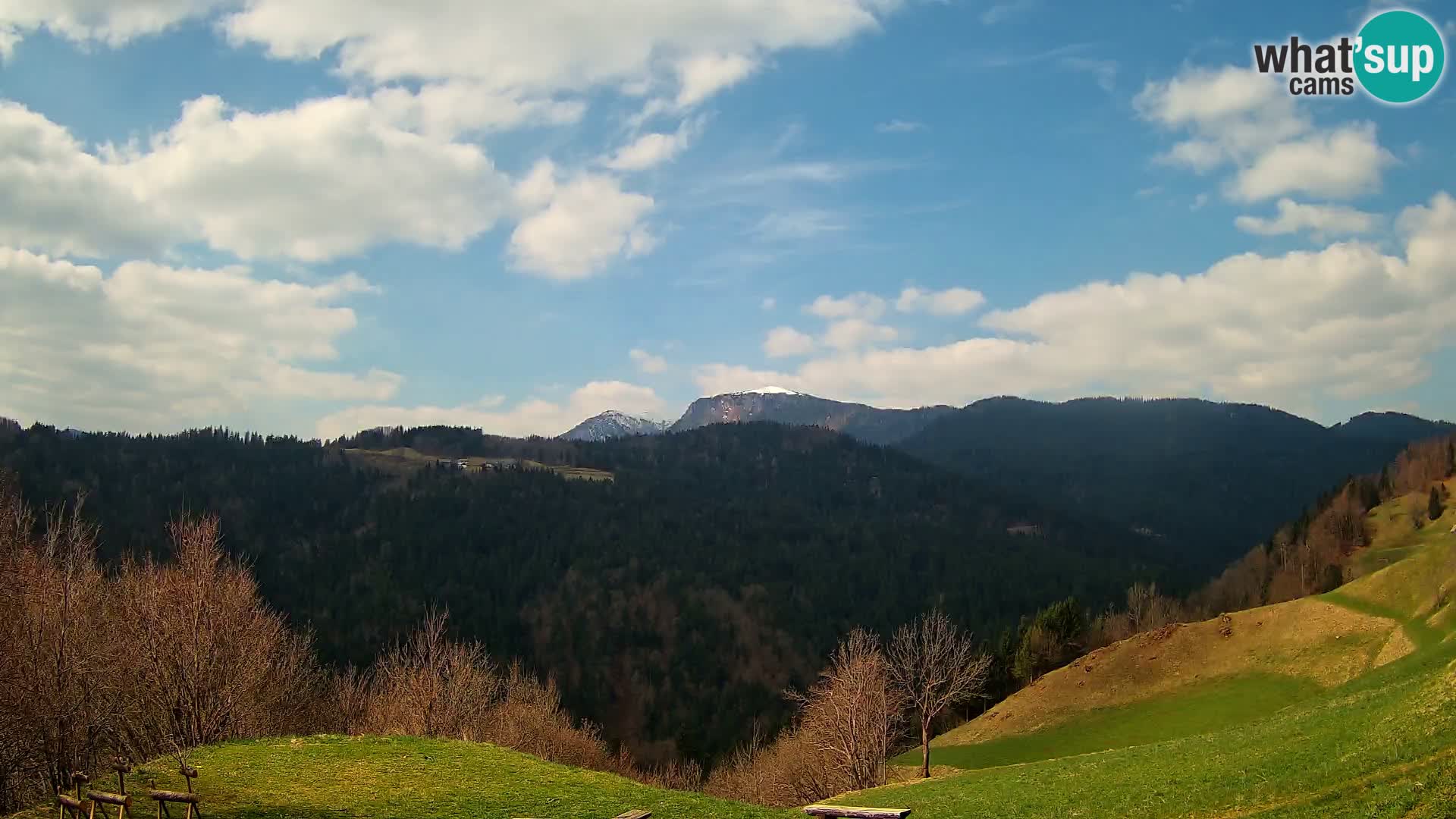 Webcam Brunarica Dražgoše – Live View of Ratitovec (1666 m)