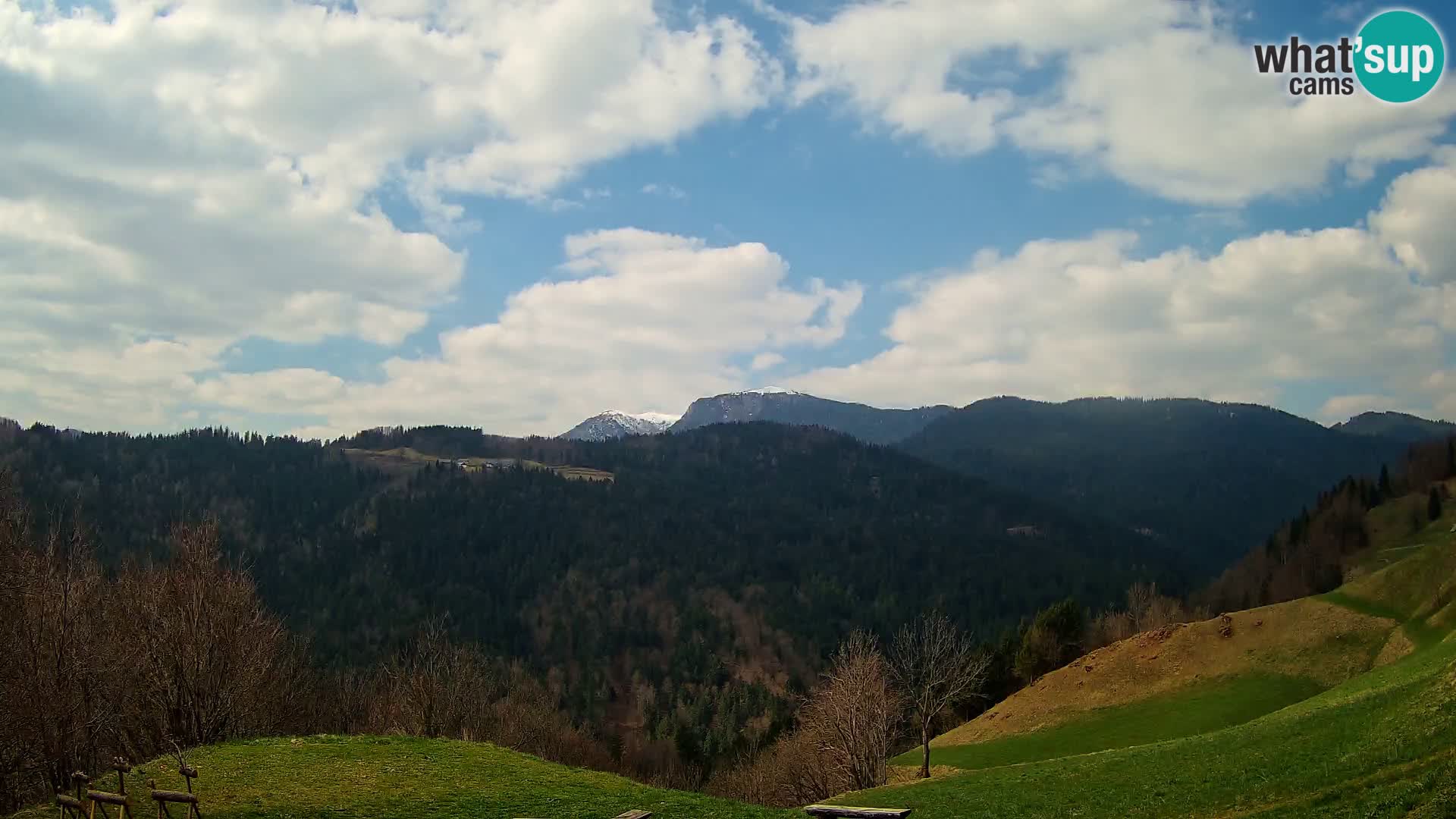 Webcam Brunarica Dražgoše – Live View of Ratitovec (1666 m)