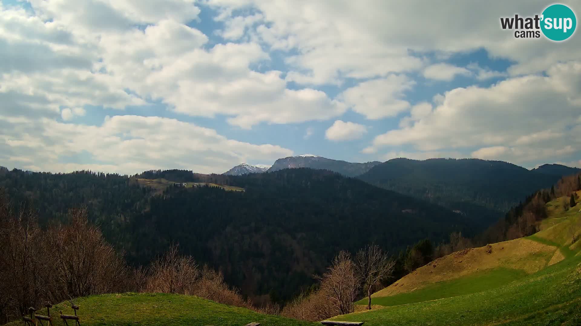 Webcam Brunarica Dražgoše – Live View of Ratitovec (1666 m)