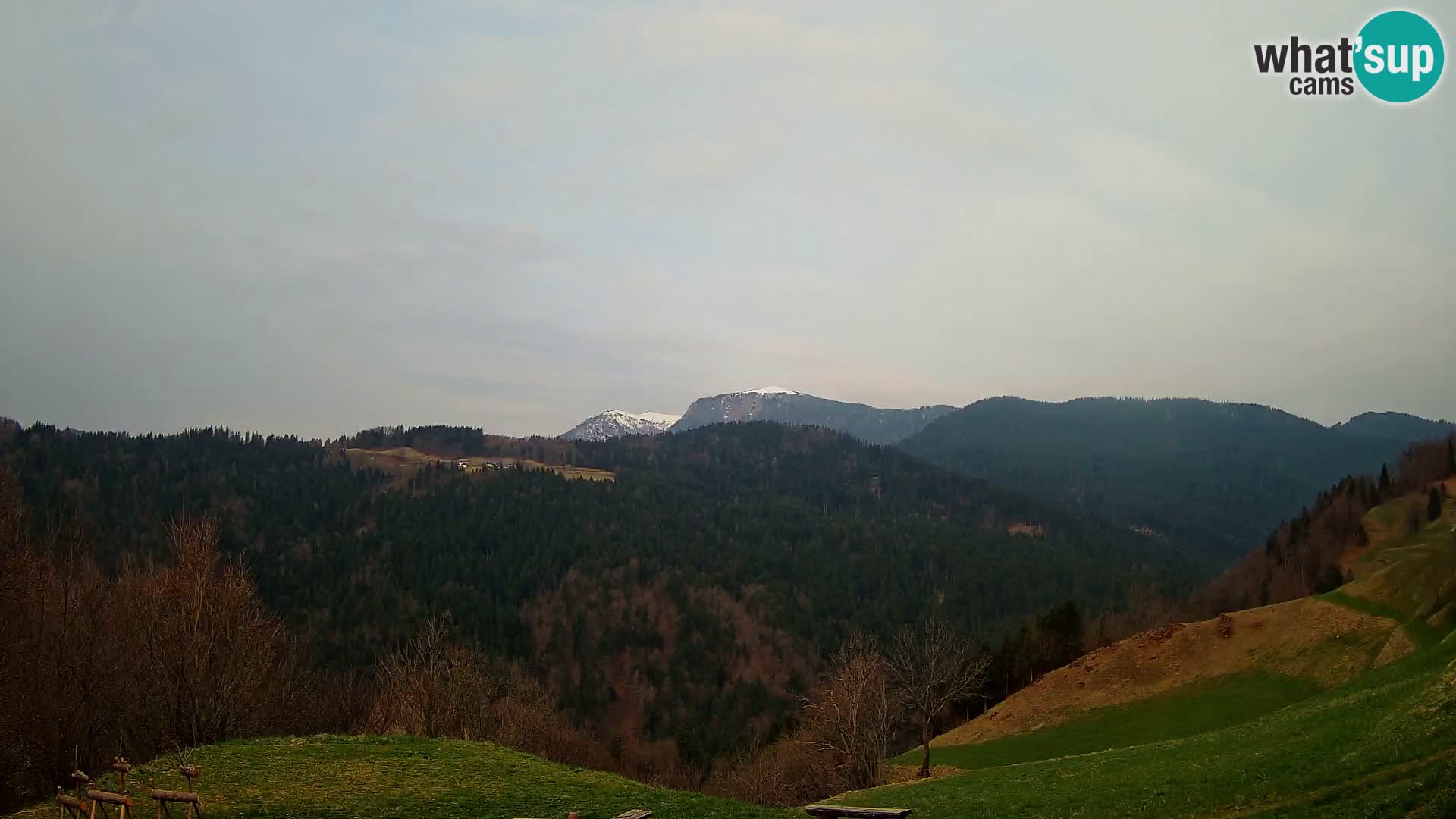 Webcam Brunarica Dražgoše – Live View of Ratitovec (1666 m)