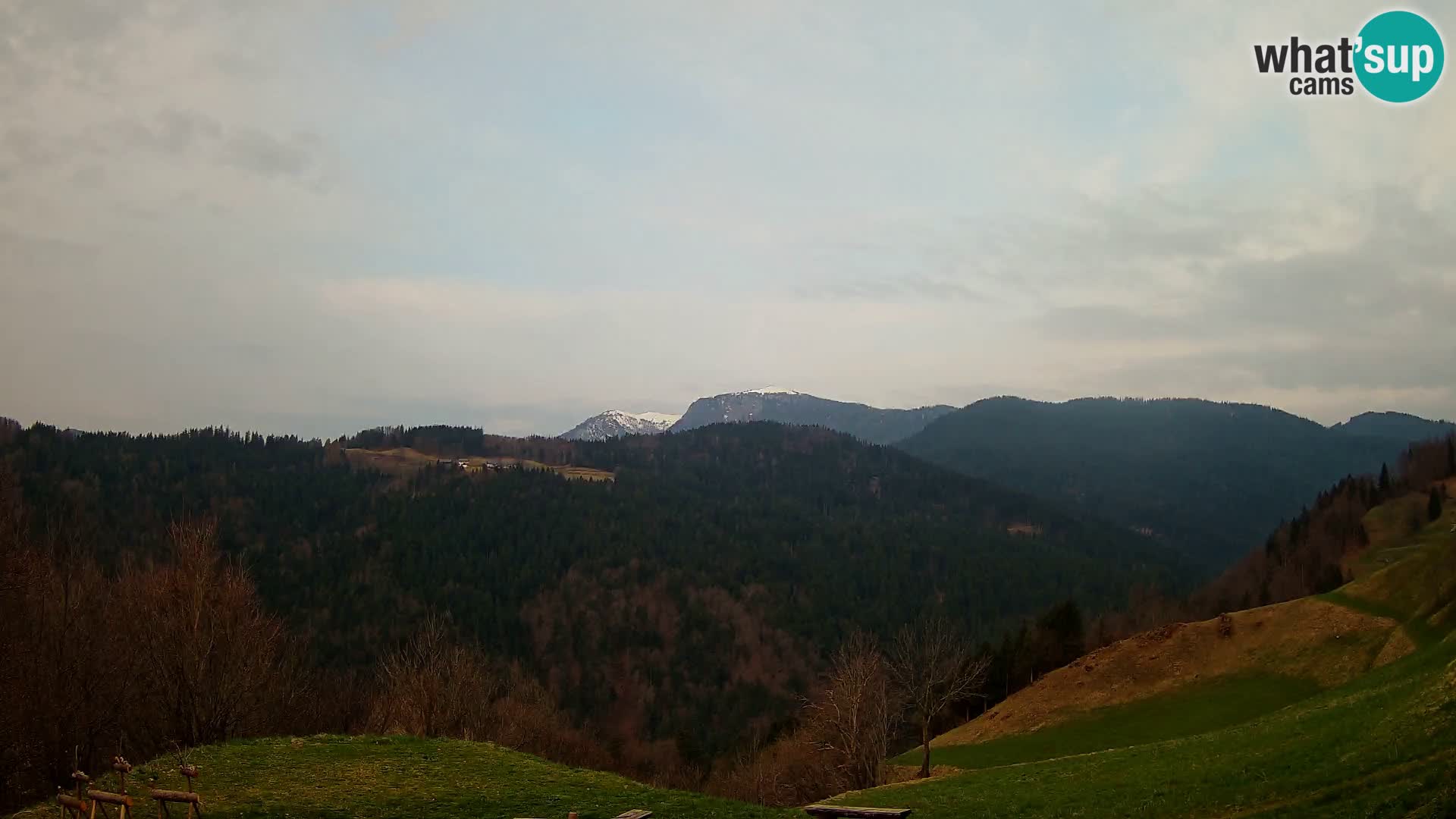 Webcam Brunarica Dražgoše – Live View of Ratitovec (1666 m)