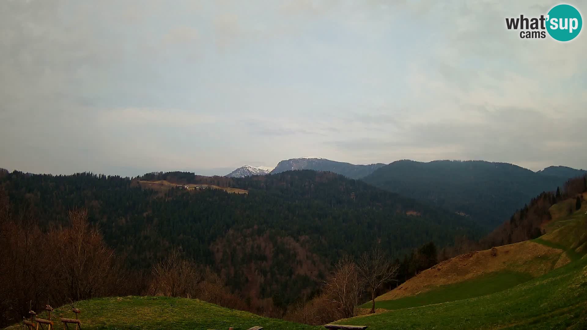 Webcam Brunarica Dražgoše – Live View of Ratitovec (1666 m)