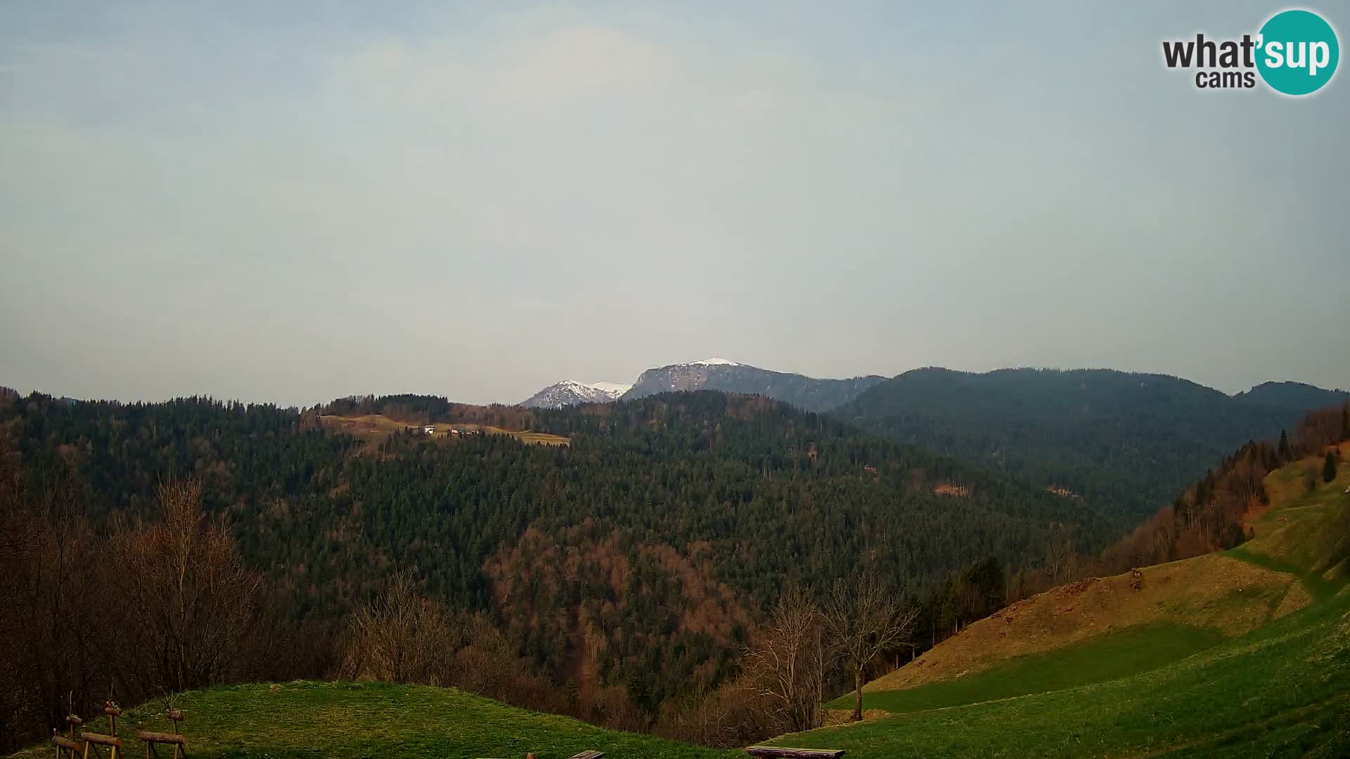 Webcam Brunarica Dražgoše – Vista live sul Ratitovec (1666 m)