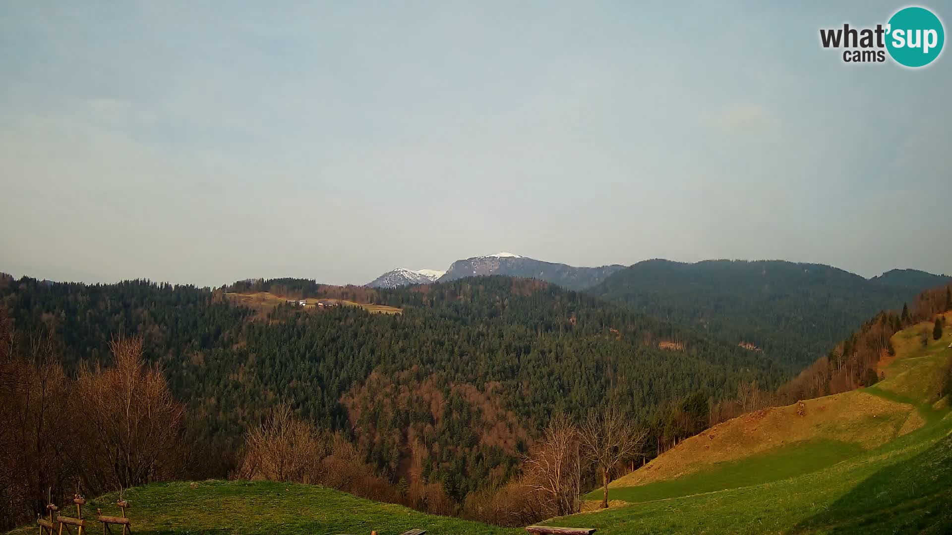 Webcam Brunarica Dražgoše – Live View of Ratitovec (1666 m)