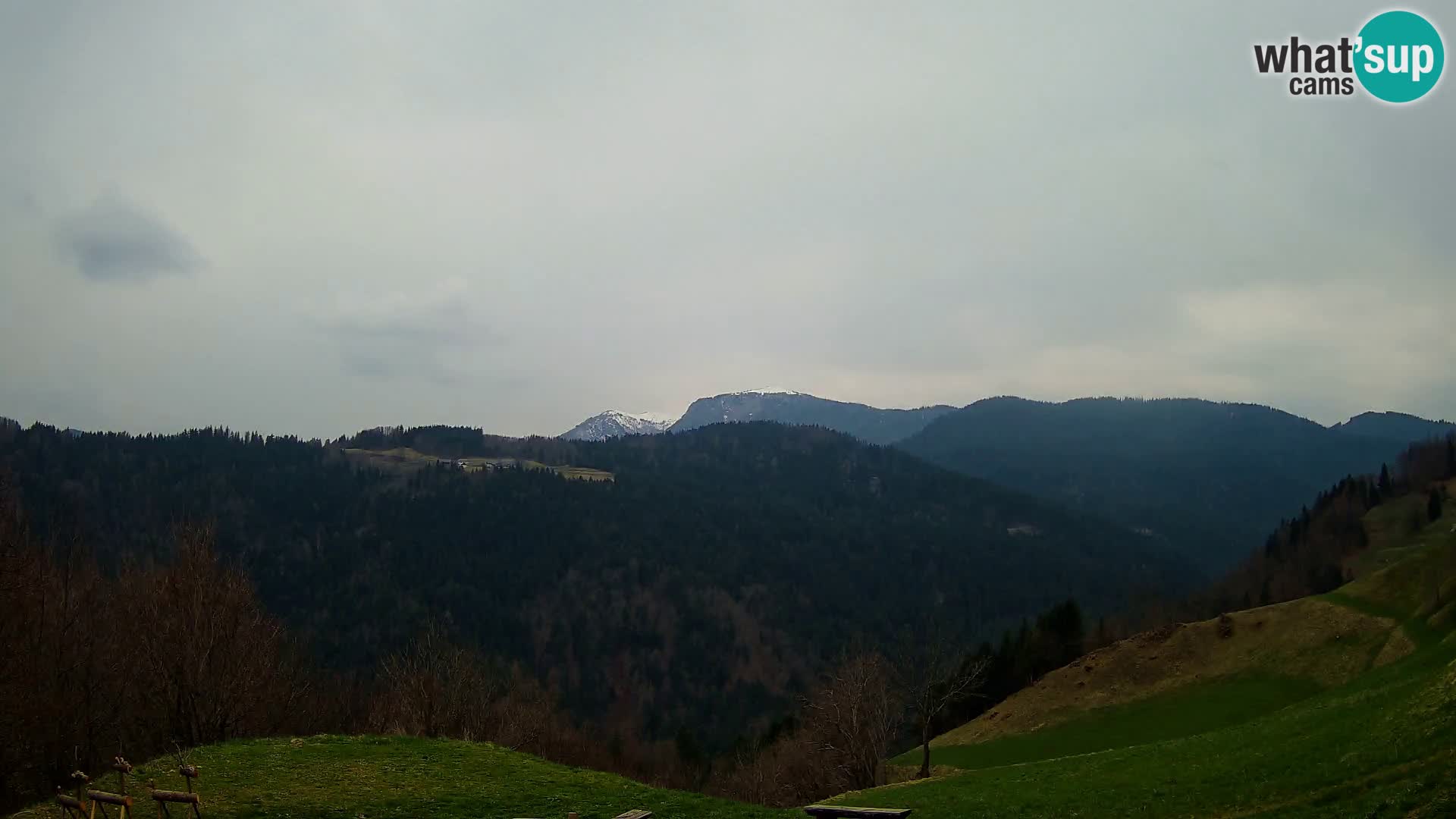 Webcam Brunarica Dražgoše – Live View of Ratitovec (1666 m)