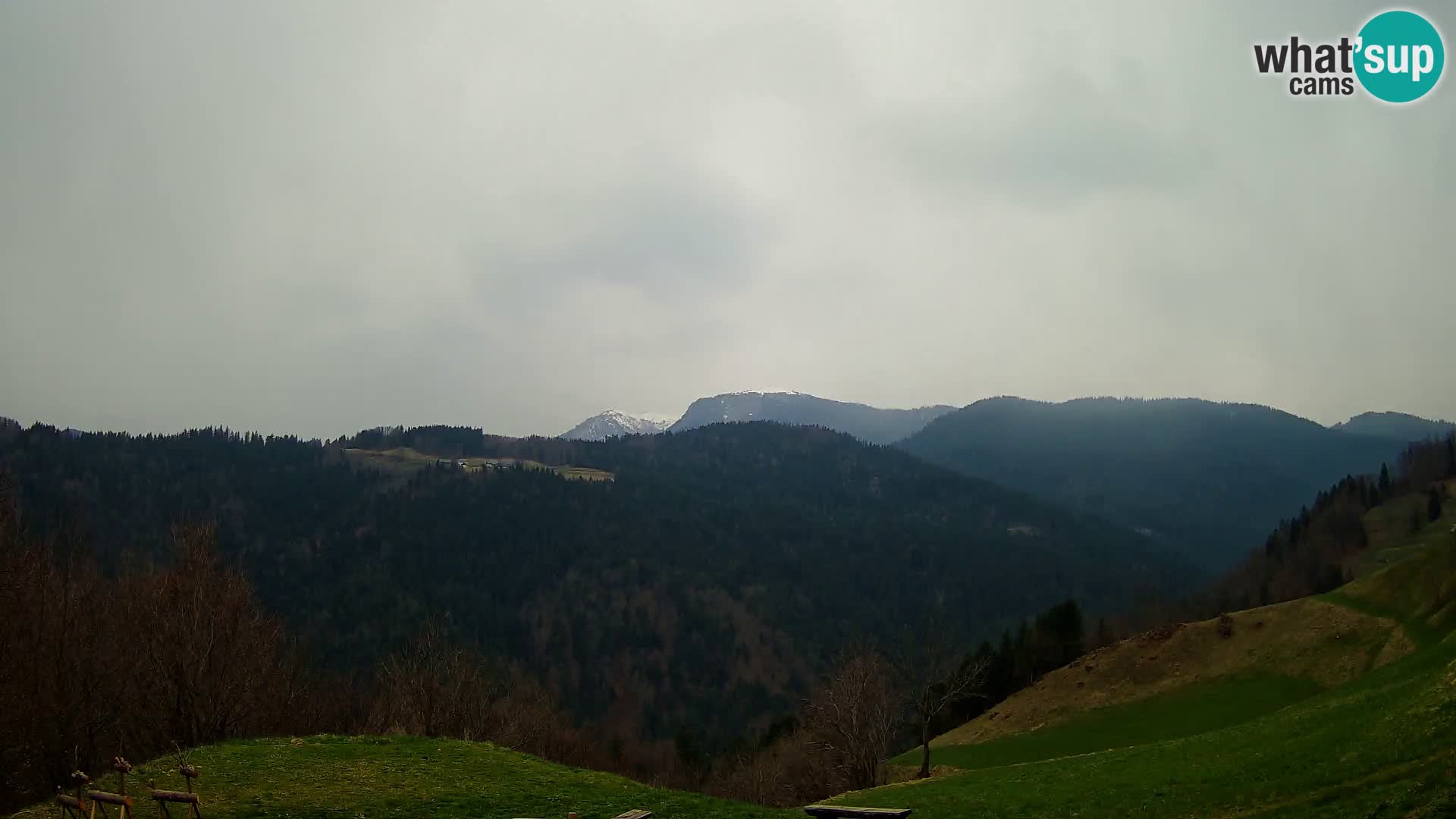 Webcam Brunarica Dražgoše – Live View of Ratitovec (1666 m)