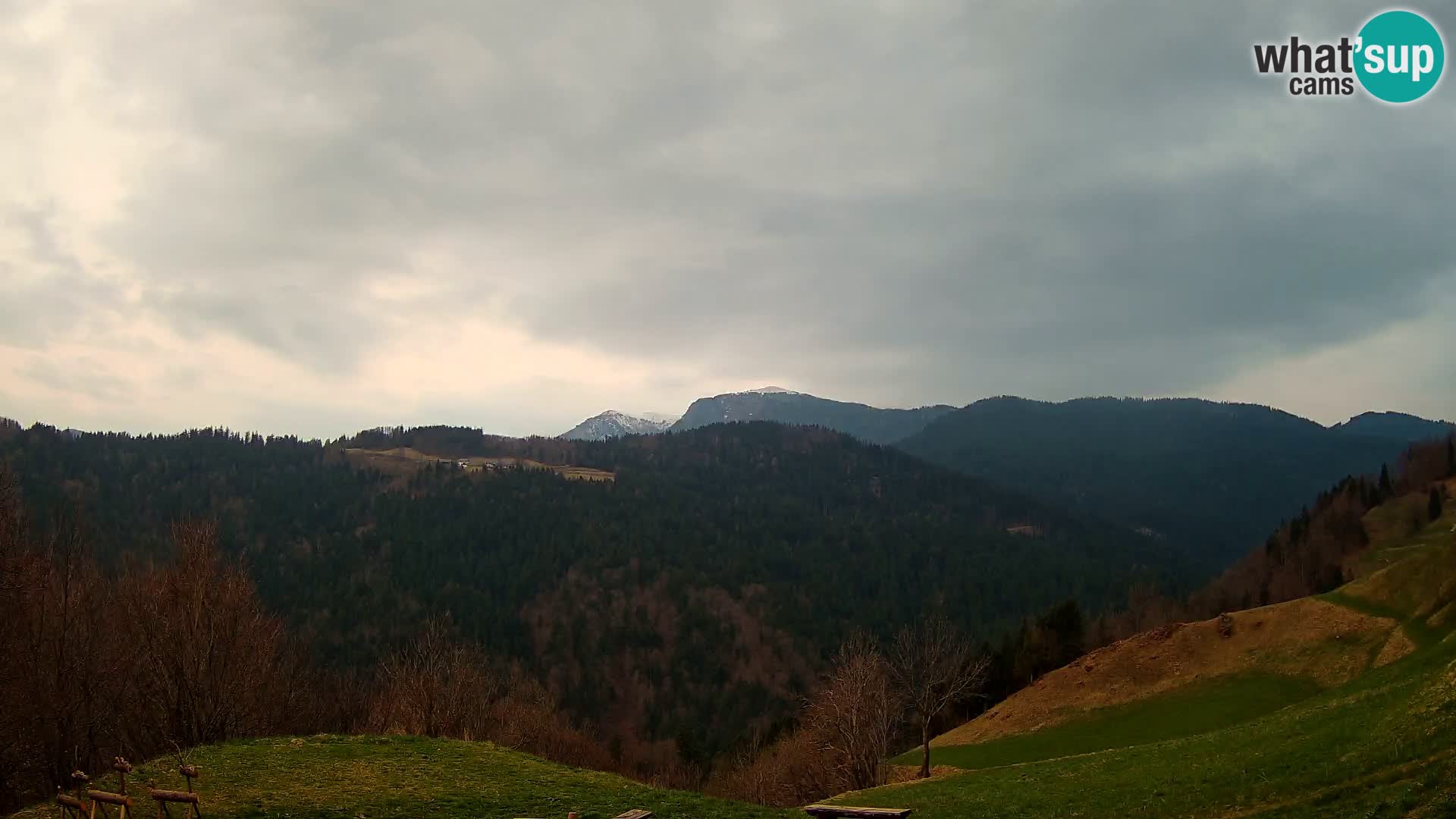 Webcam Brunarica Dražgoše – Live View of Ratitovec (1666 m)