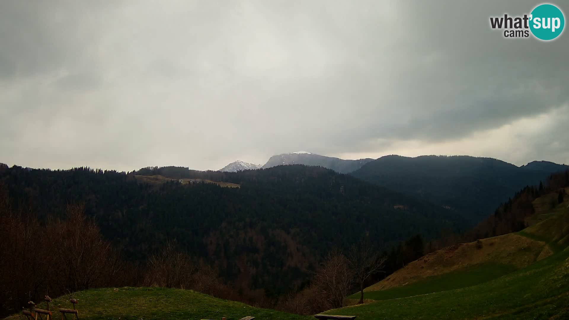 Webcam Brunarica Dražgoše – Live View of Ratitovec (1666 m)