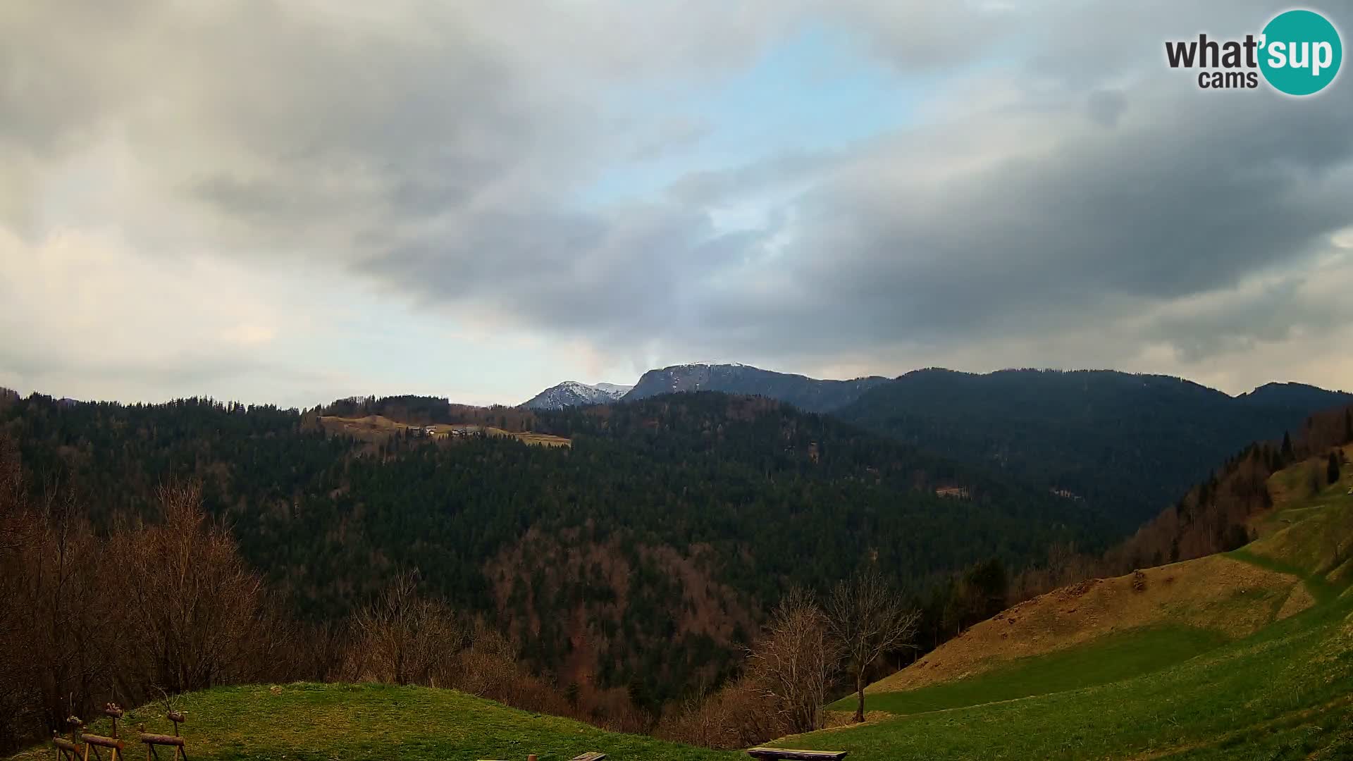 Webcam Brunarica Dražgoše – Live View of Ratitovec (1666 m)