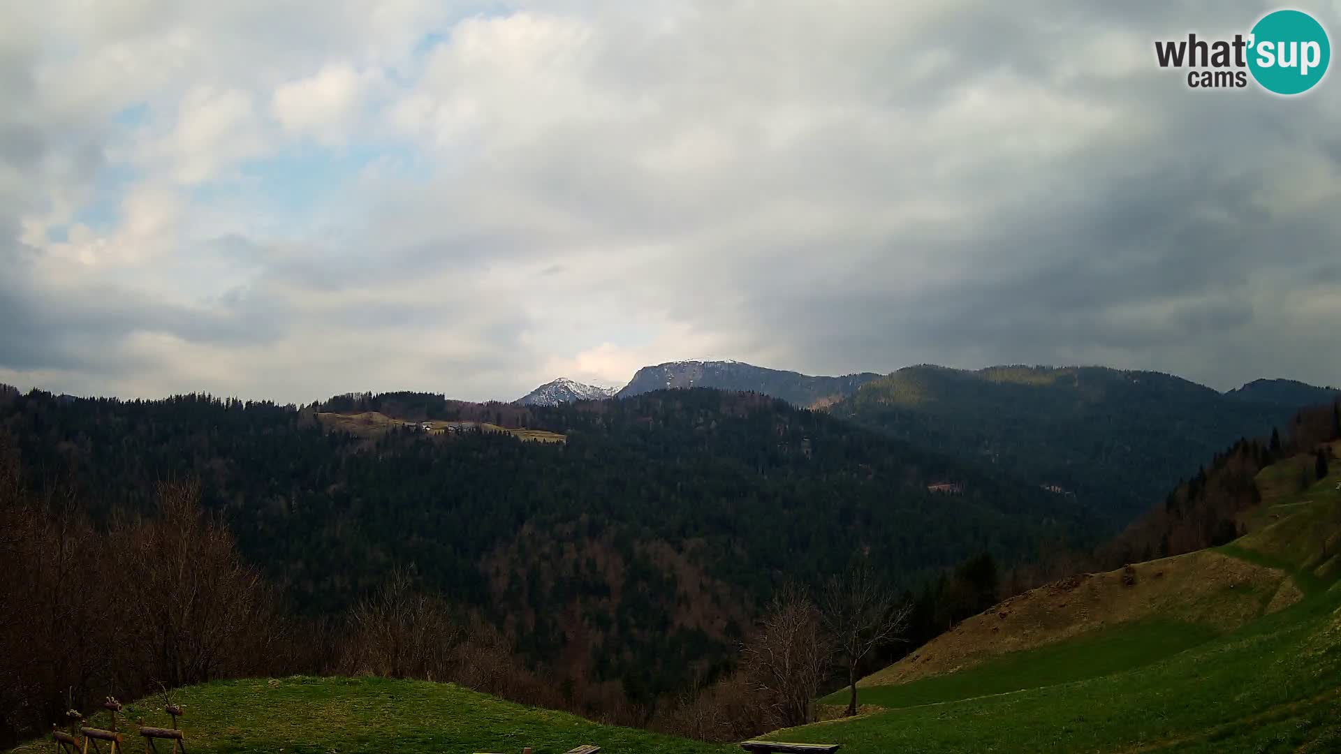 Webcam Brunarica Dražgoše – Live View of Ratitovec (1666 m)