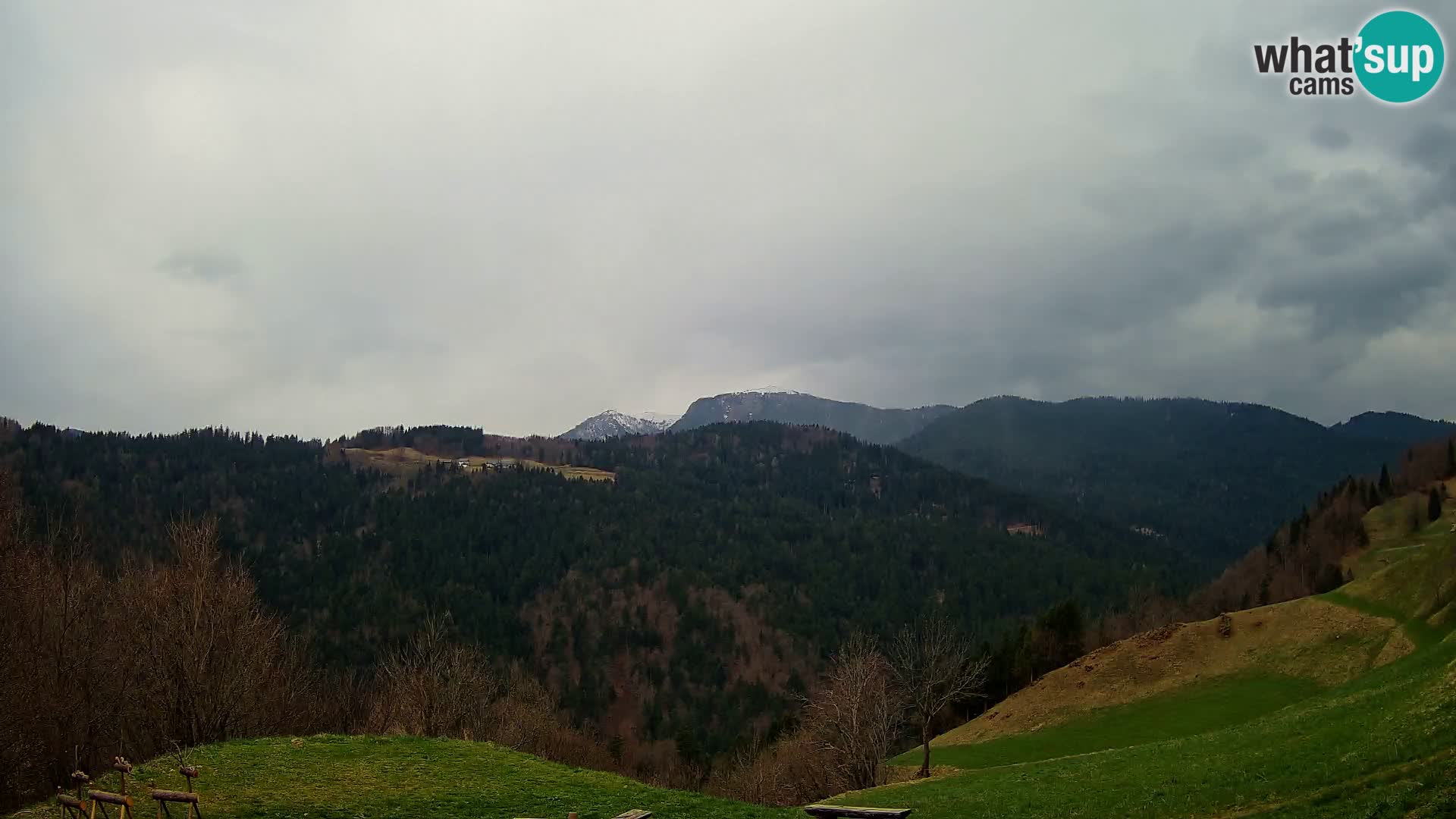 Webcam Brunarica Dražgoše – Live View of Ratitovec (1666 m)