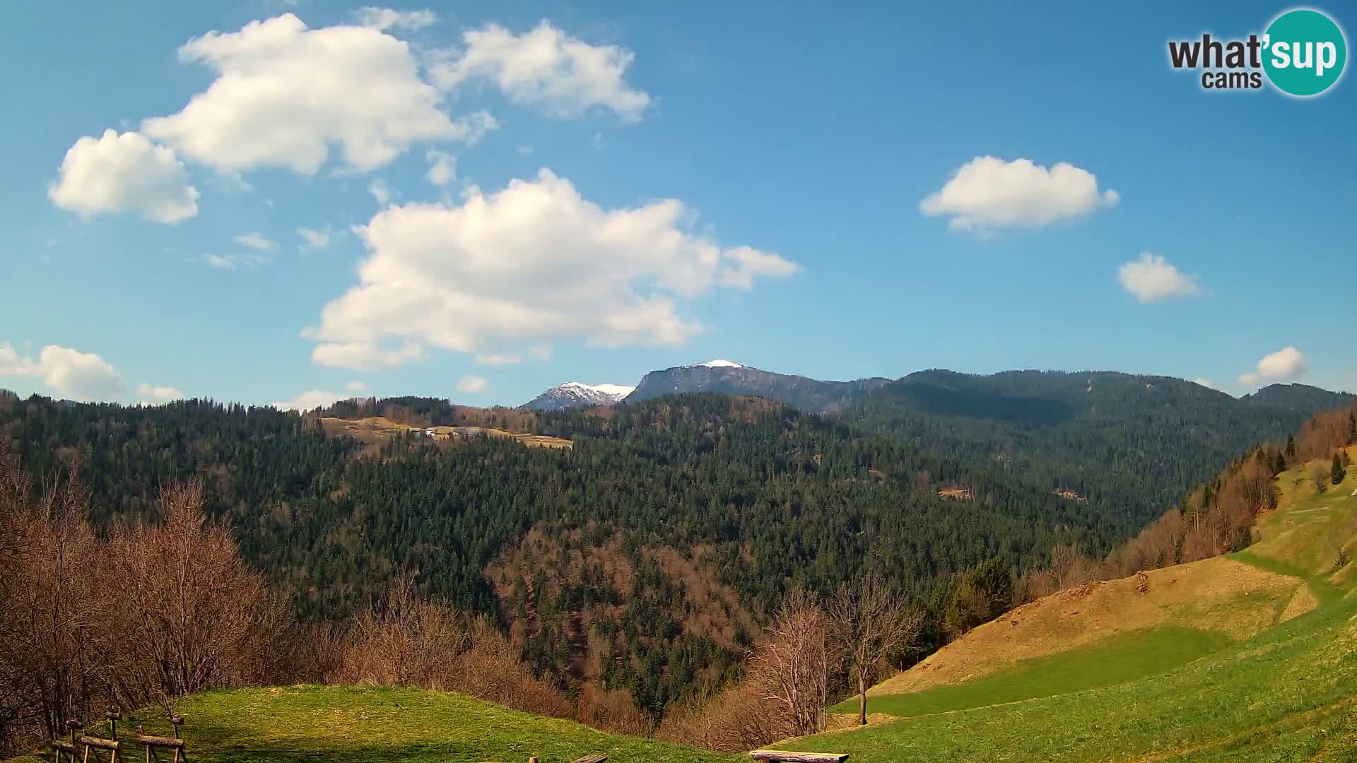 Webcam Brunarica Dražgoše – Live View of Ratitovec (1666 m)