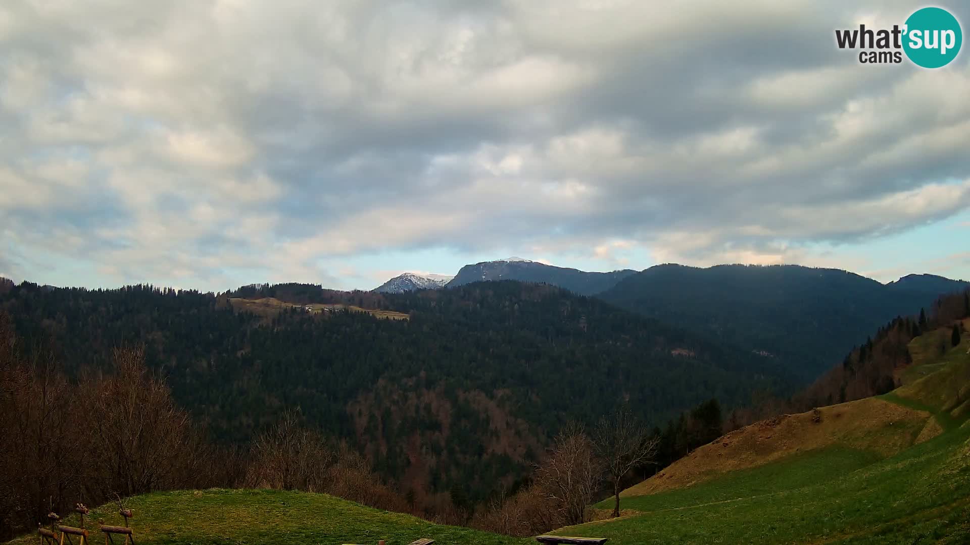 Webcam Brunarica Dražgoše – Live View of Ratitovec (1666 m)