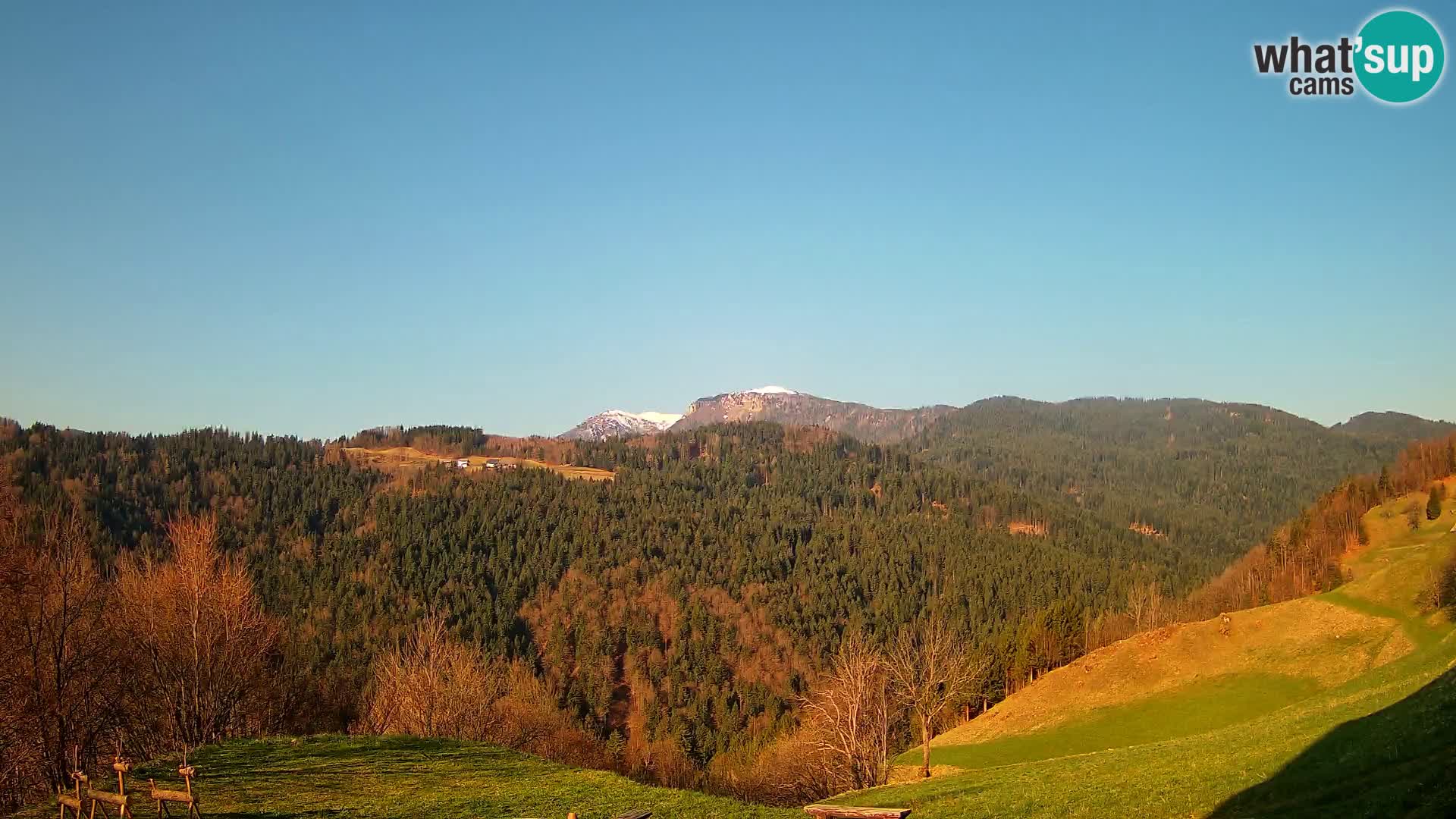 Webcam Brunarica Dražgoše – Vista live sul Ratitovec (1666 m)