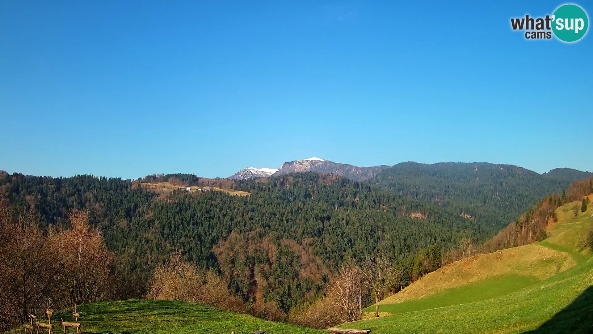 Webcam Brunarica Dražgoše – Live View of Ratitovec (1666 m)