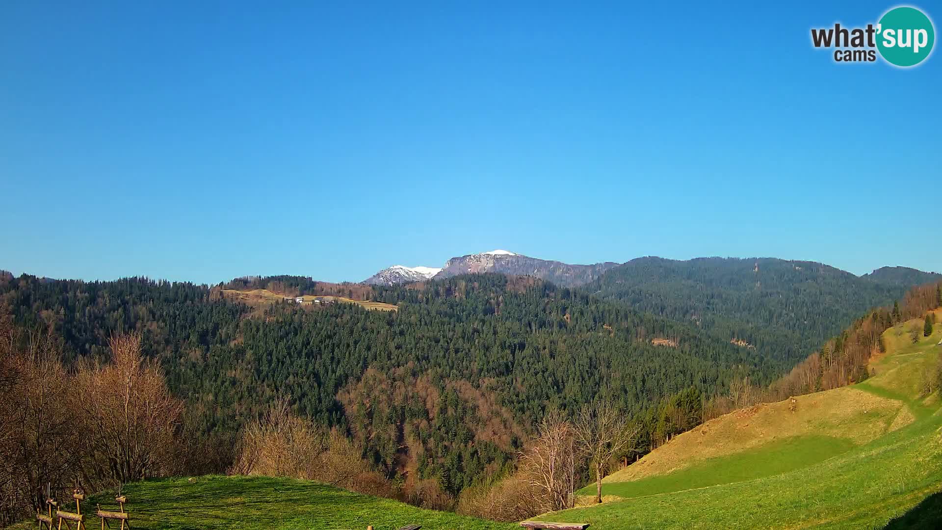 Webcam Brunarica Dražgoše – Live View of Ratitovec (1666 m)