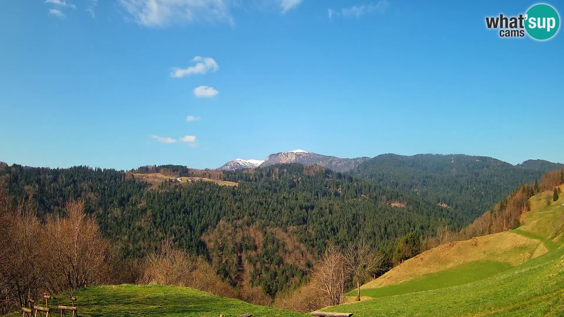 Webcam Brunarica Dražgoše – Live View of Ratitovec (1666 m)