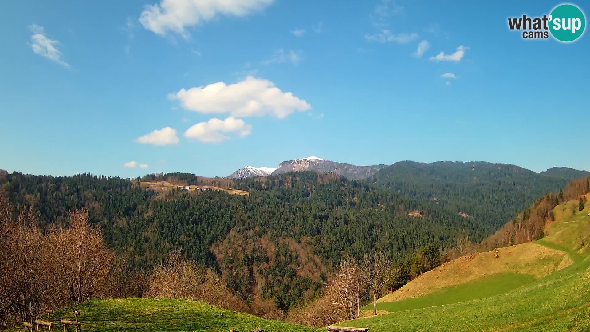 Webcam Brunarica Dražgoše – Live View of Ratitovec (1666 m)