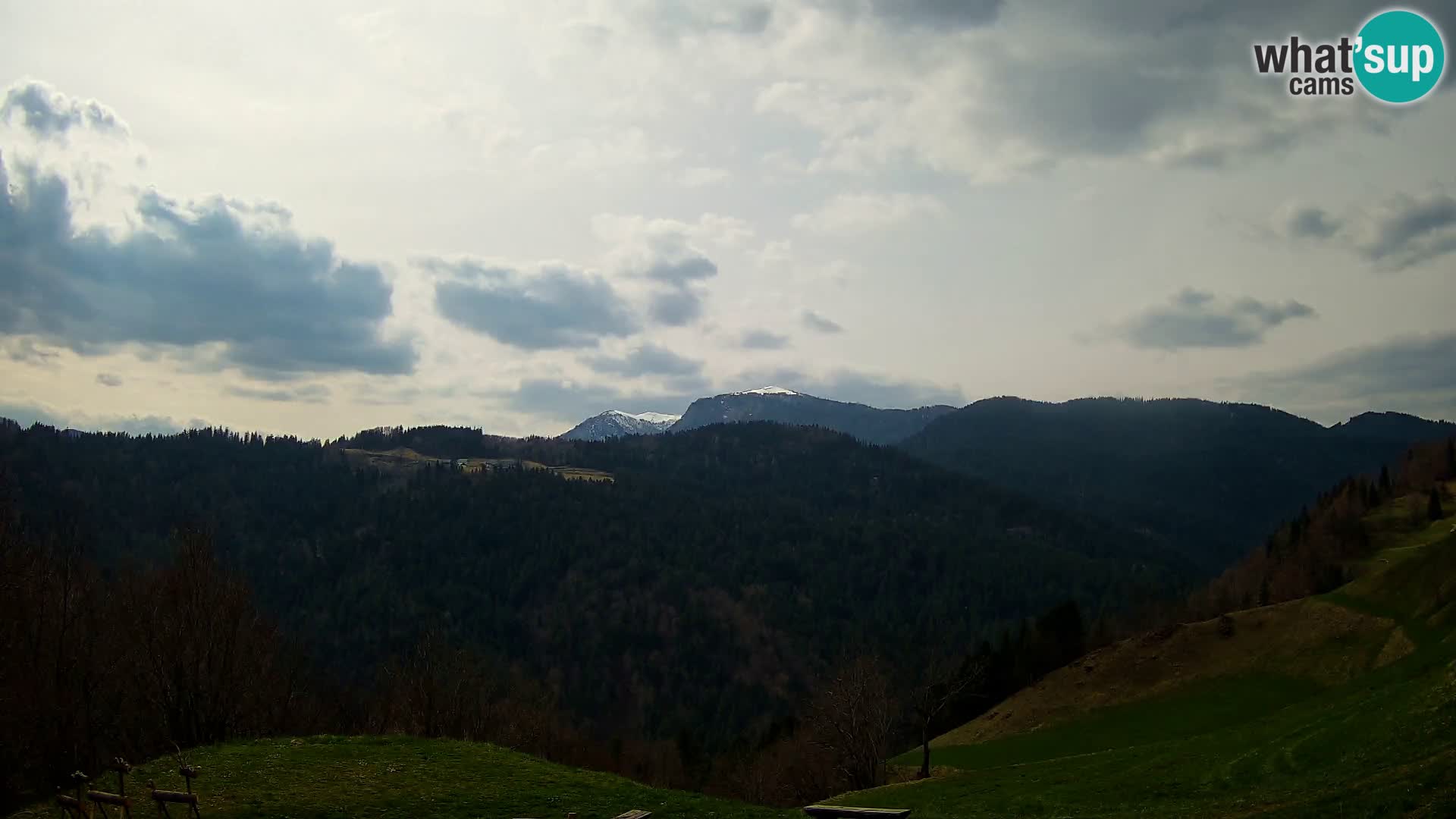 Webcam Brunarica Dražgoše – Liveblick auf Ratitovec (1666 m)