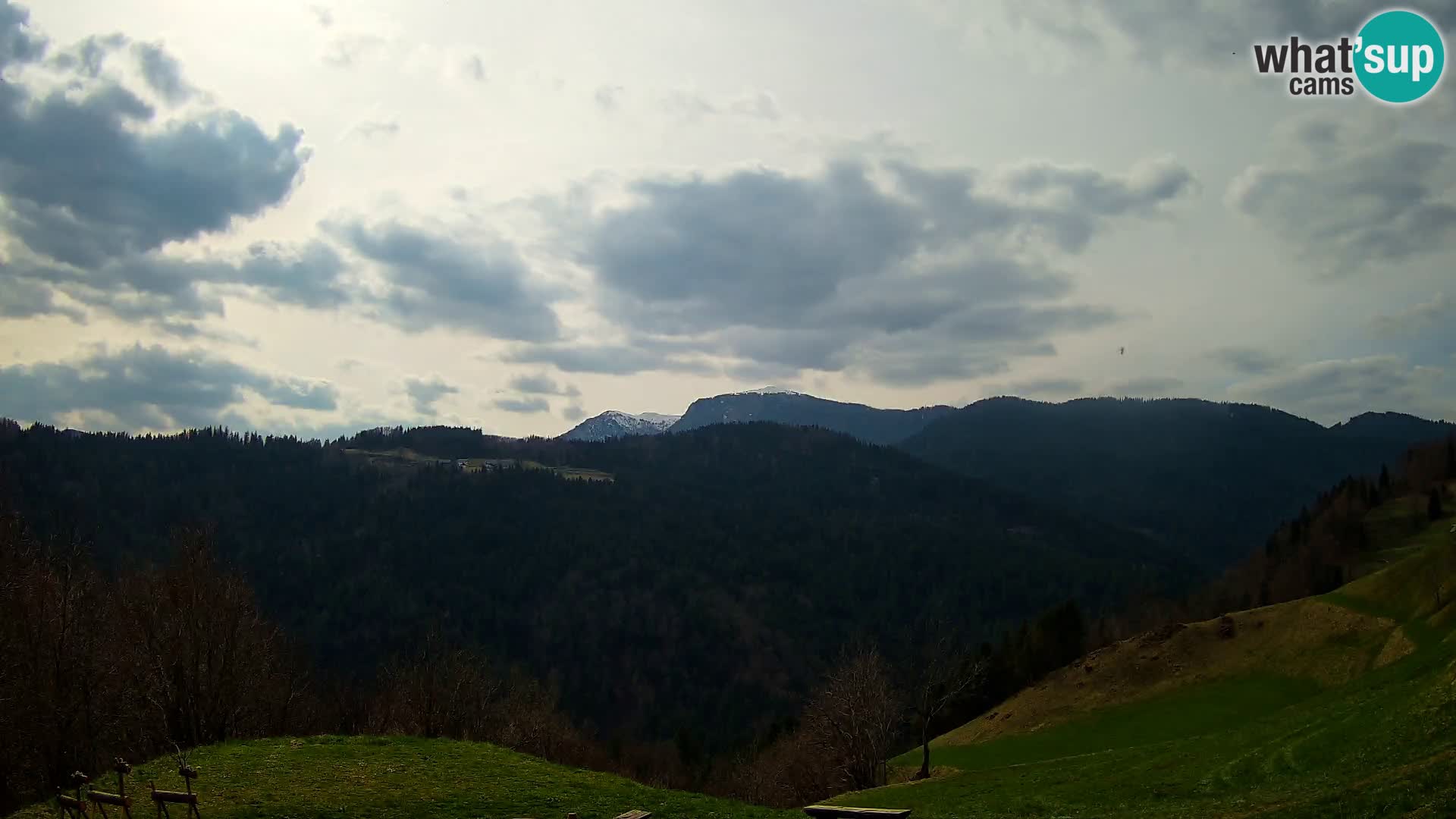 Webcam Brunarica Dražgoše – Live View of Ratitovec (1666 m)