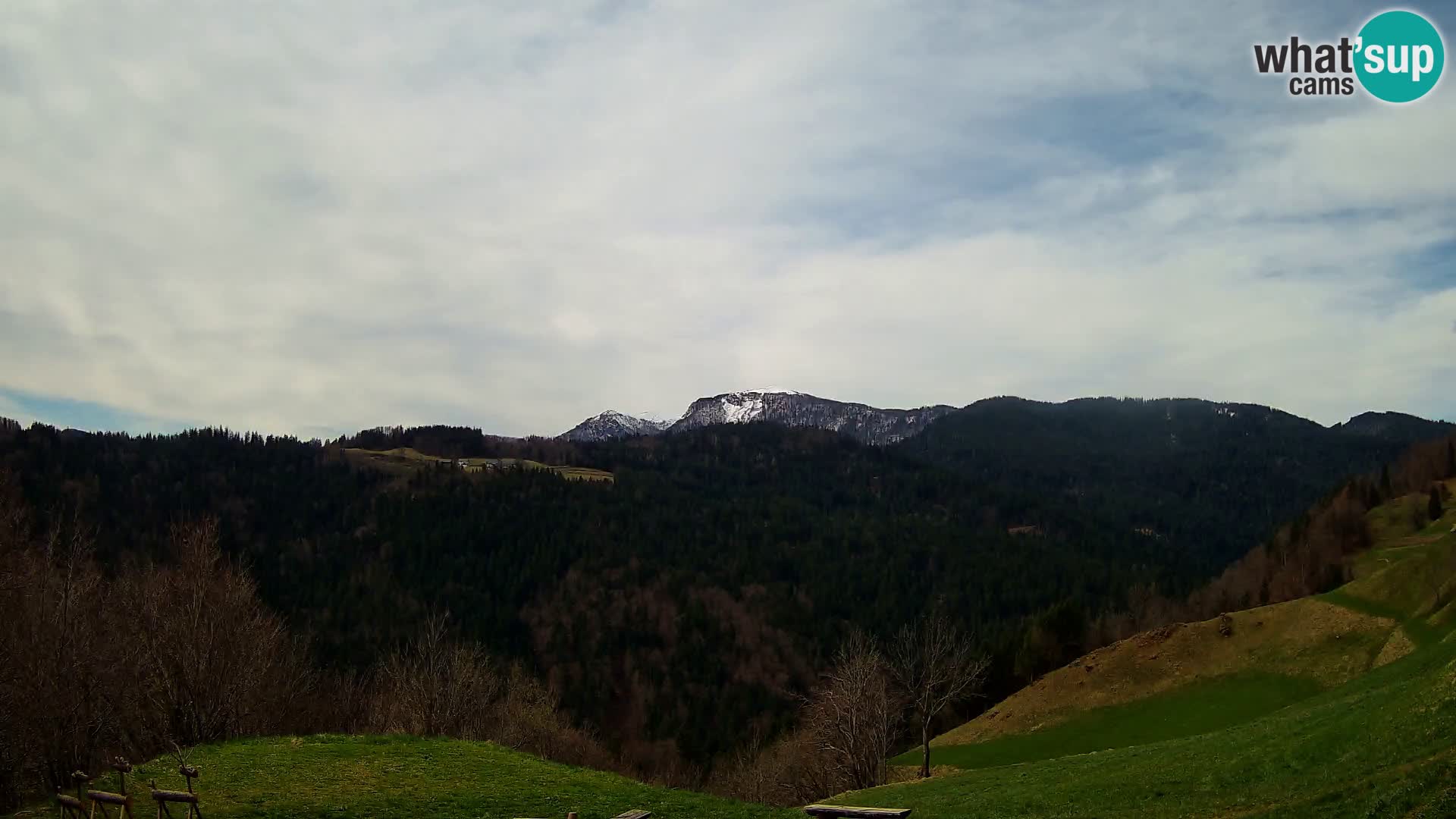 Webcam Brunarica Dražgoše – Vista live sul Ratitovec (1666 m)