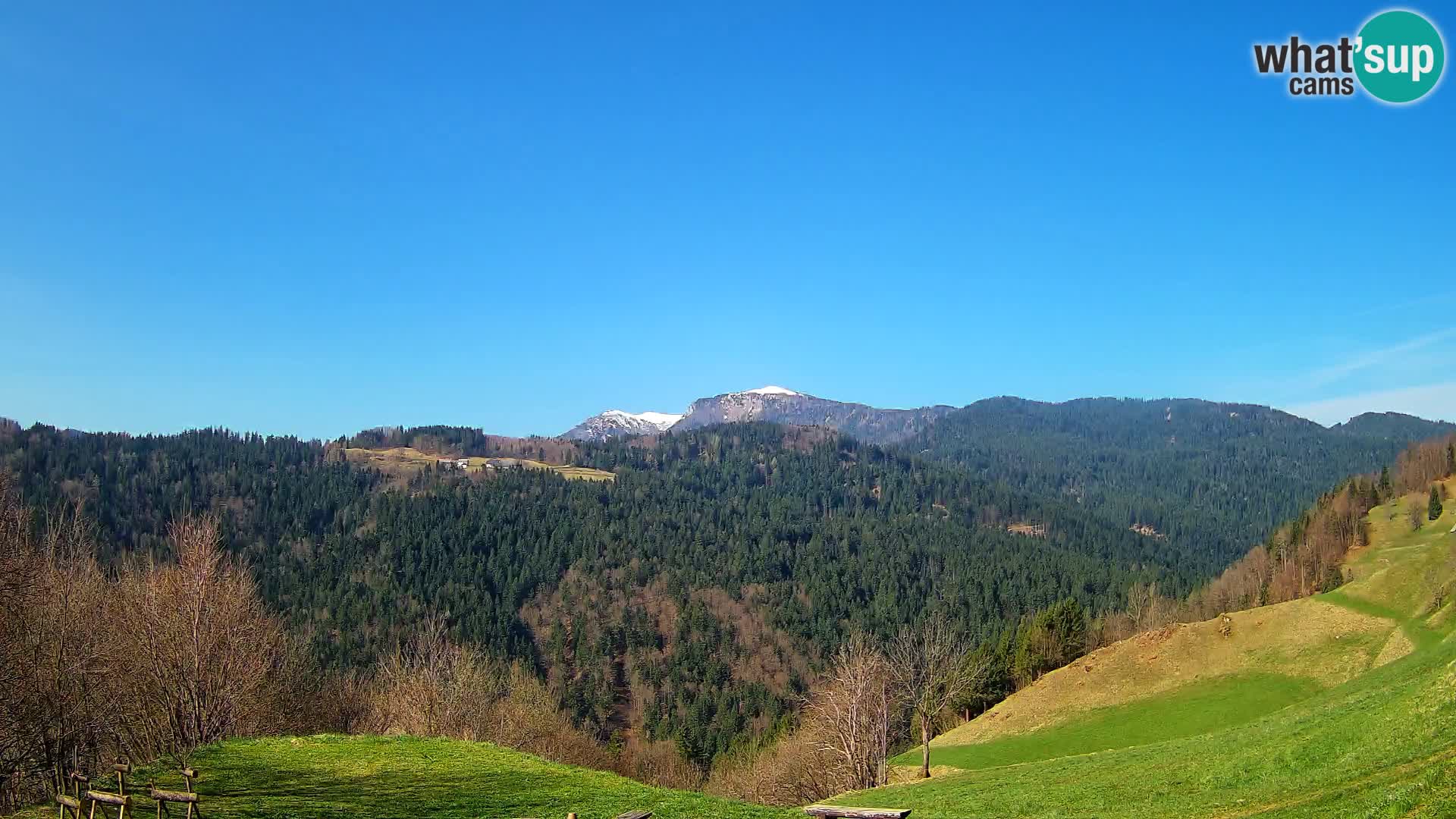 Webcam Brunarica Dražgoše – Live View of Ratitovec (1666 m)