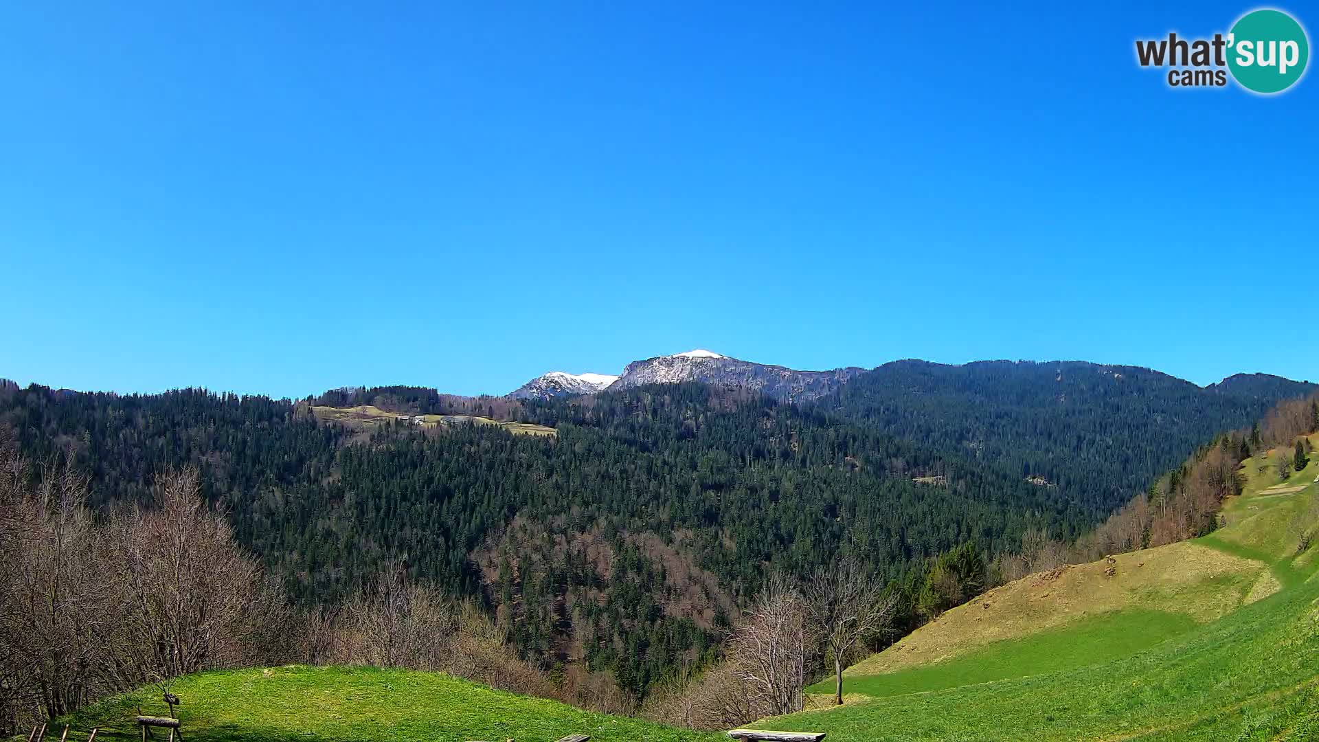 Webcam Brunarica Dražgoše – Live View of Ratitovec (1666 m)